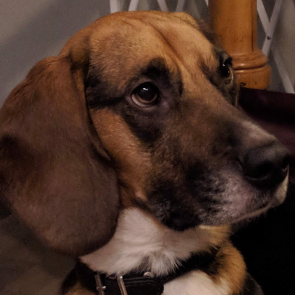 Stanley