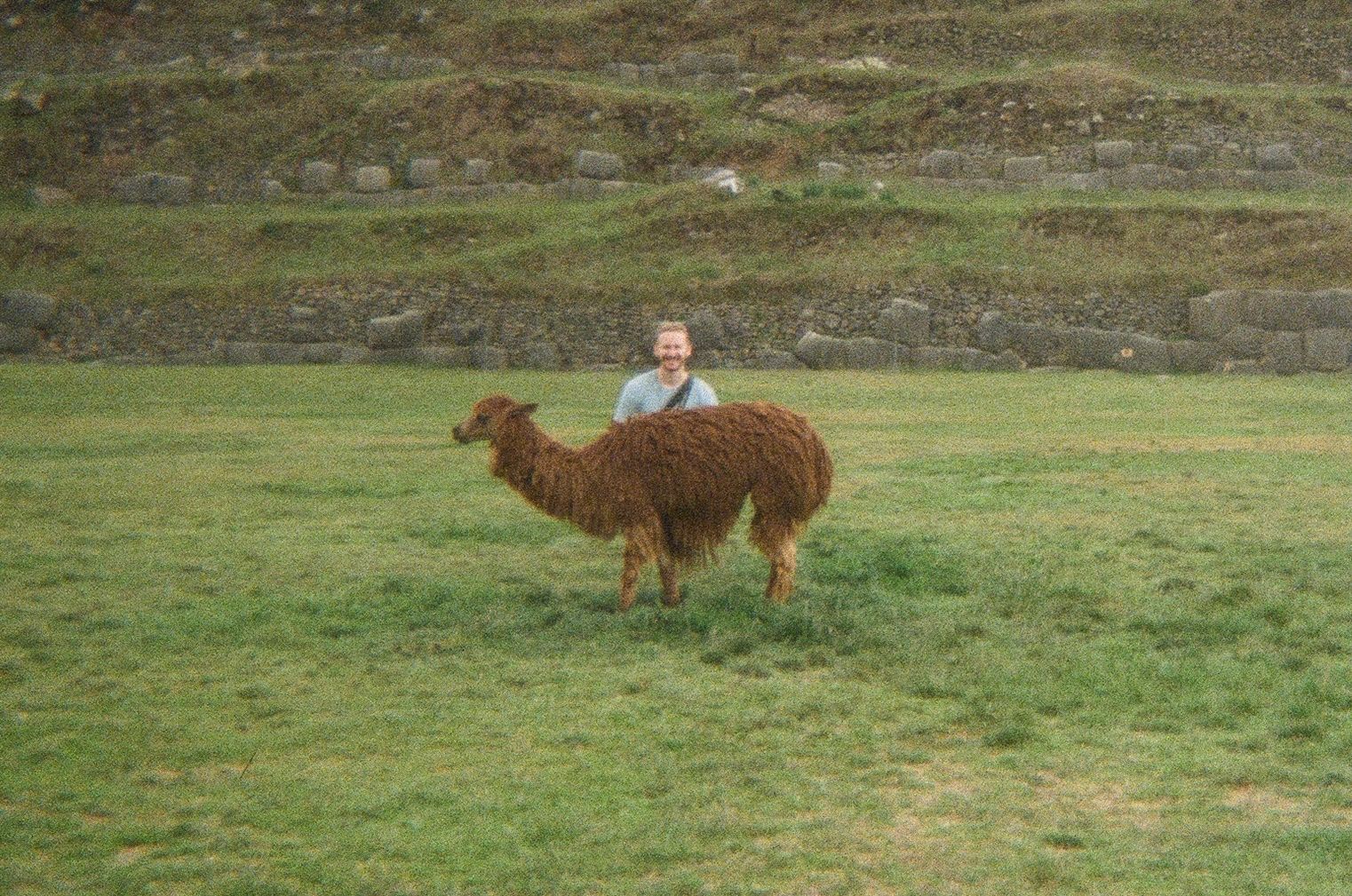 image-7