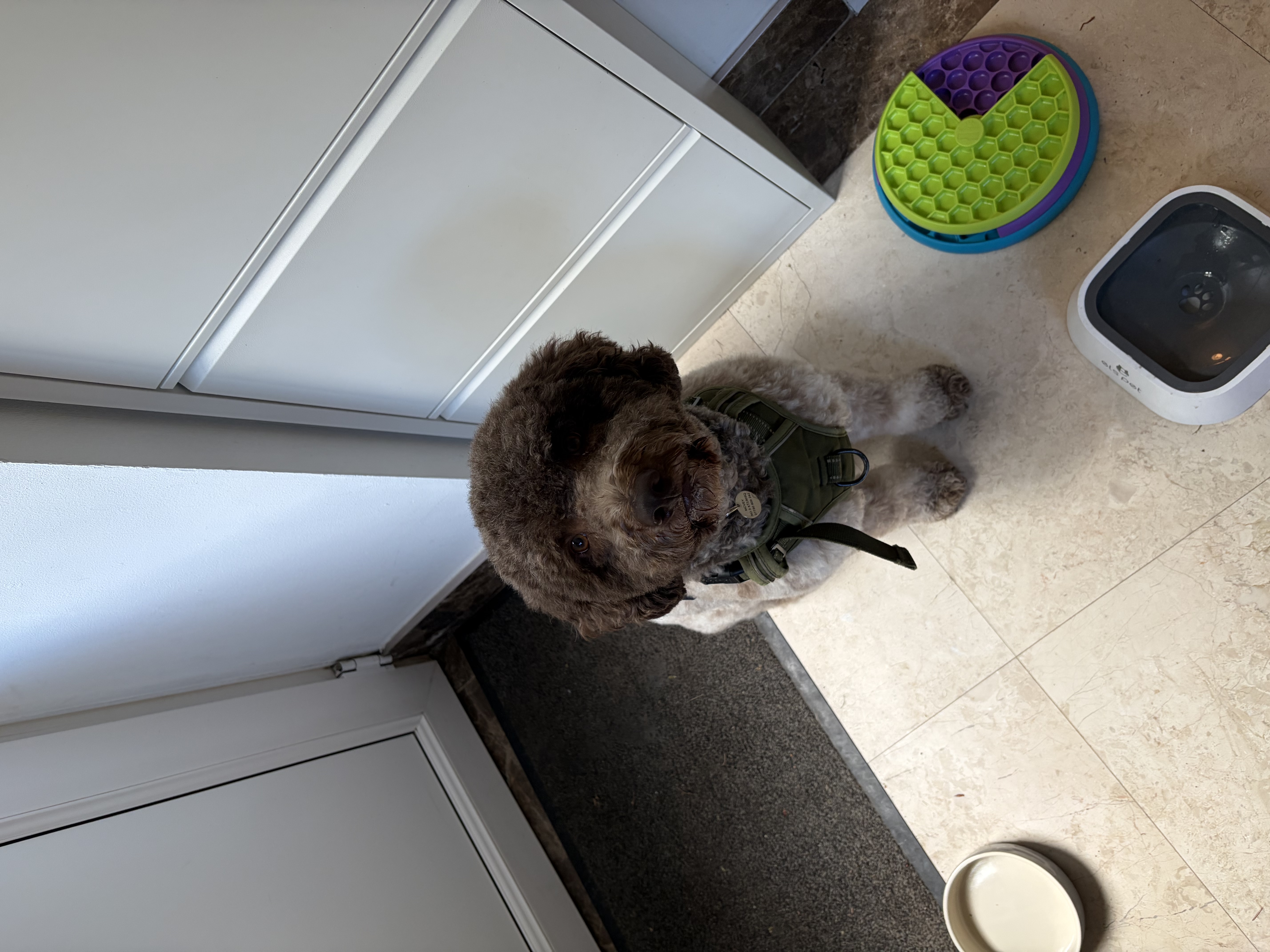 image-8