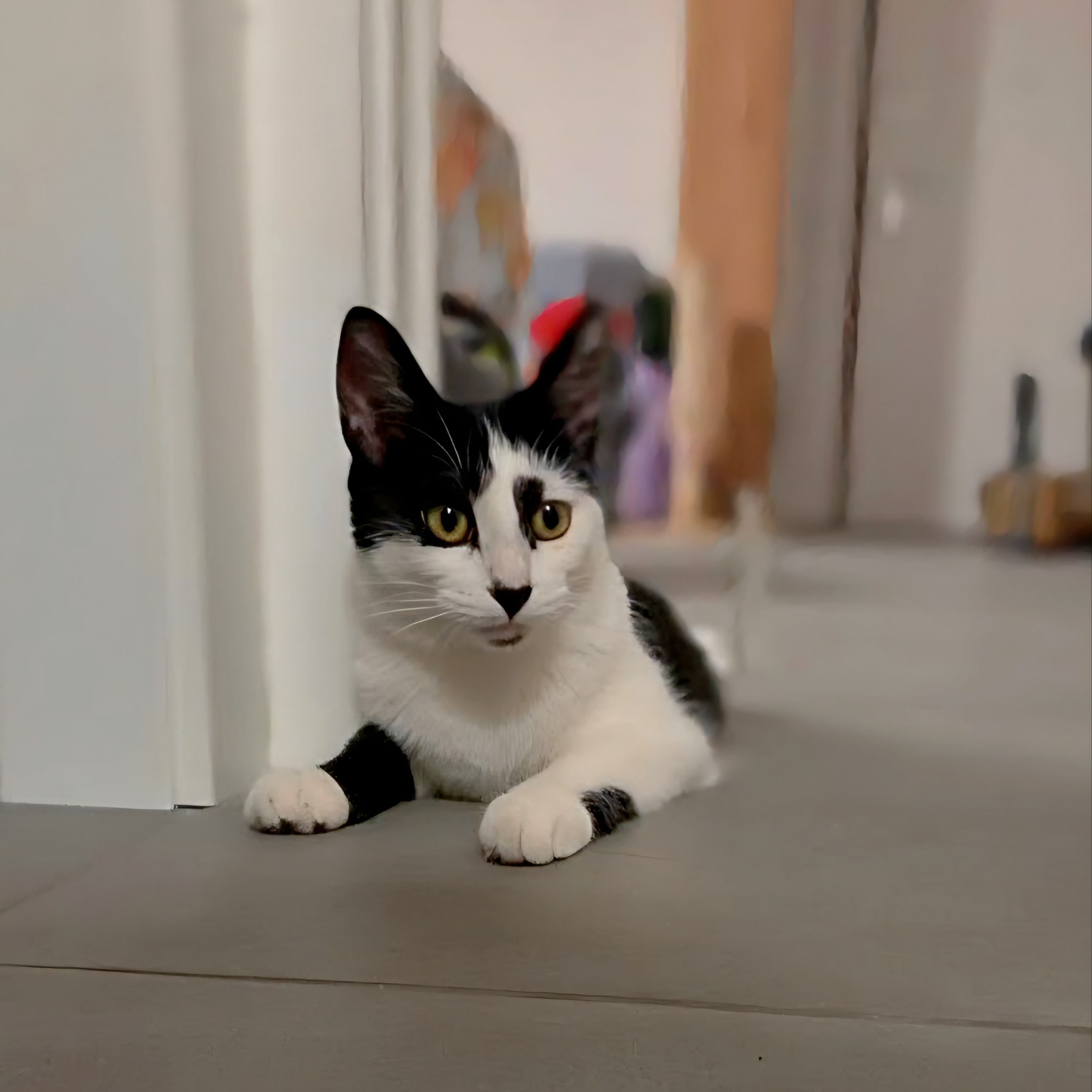Simon