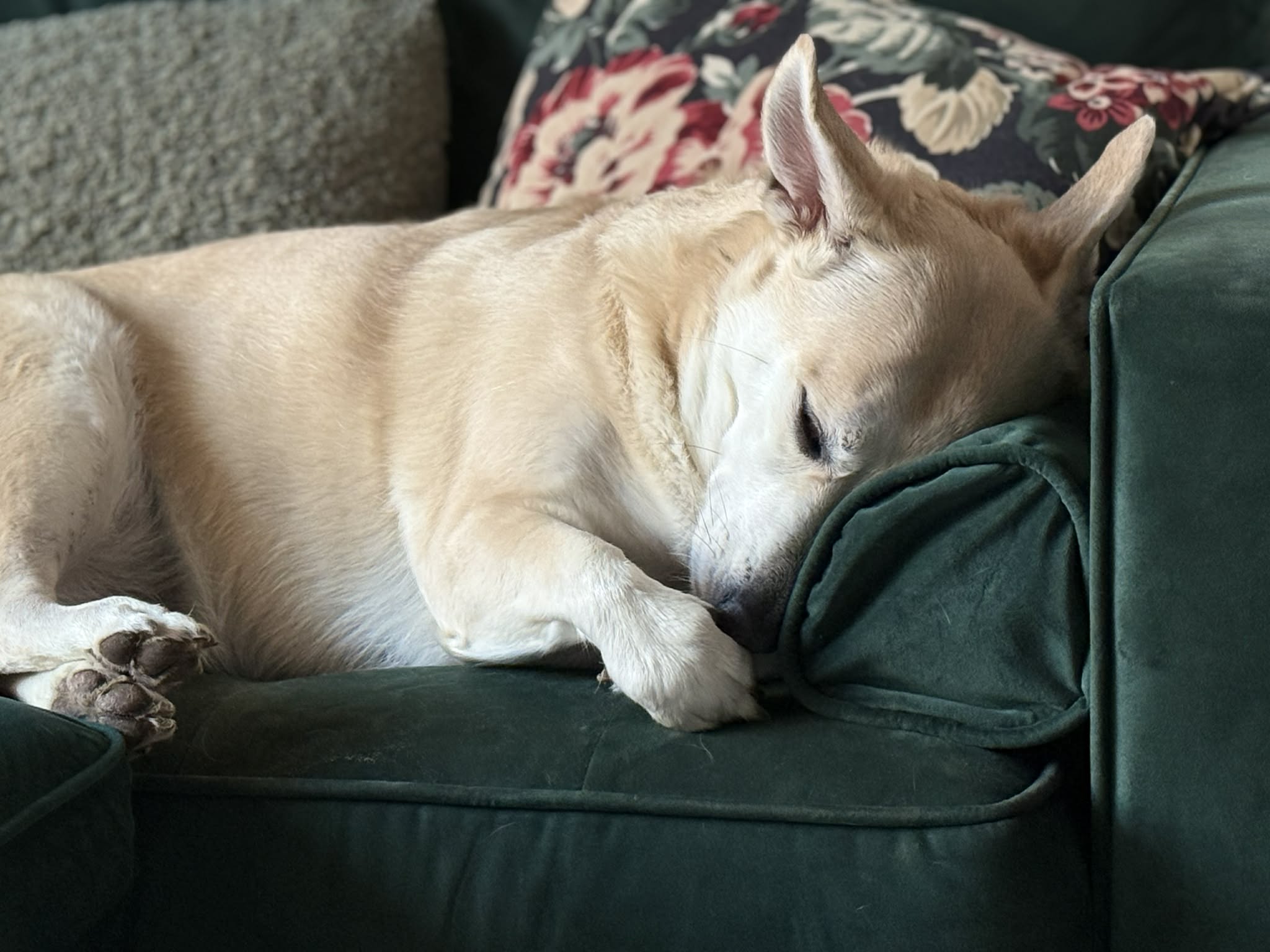 image-11