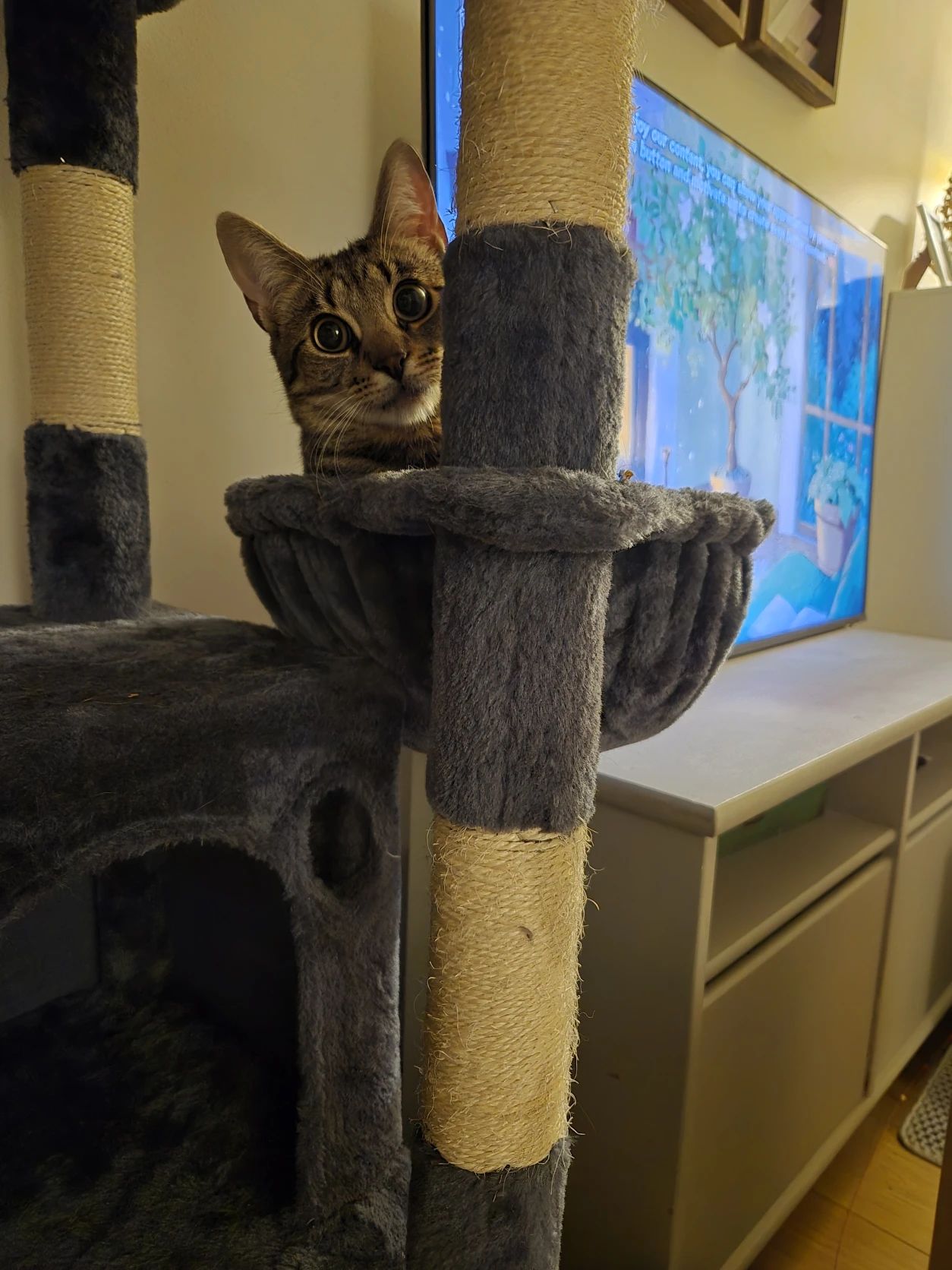 image-14