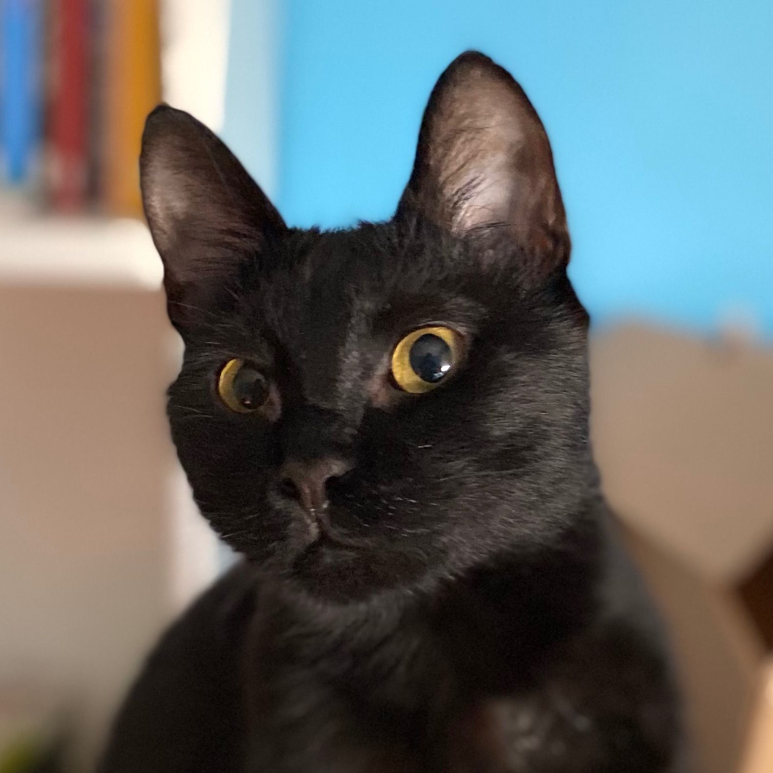 Ömür