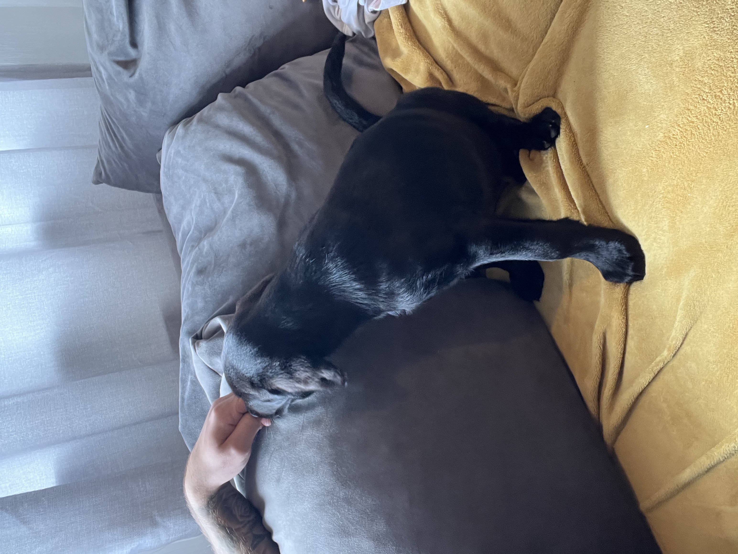 image-7