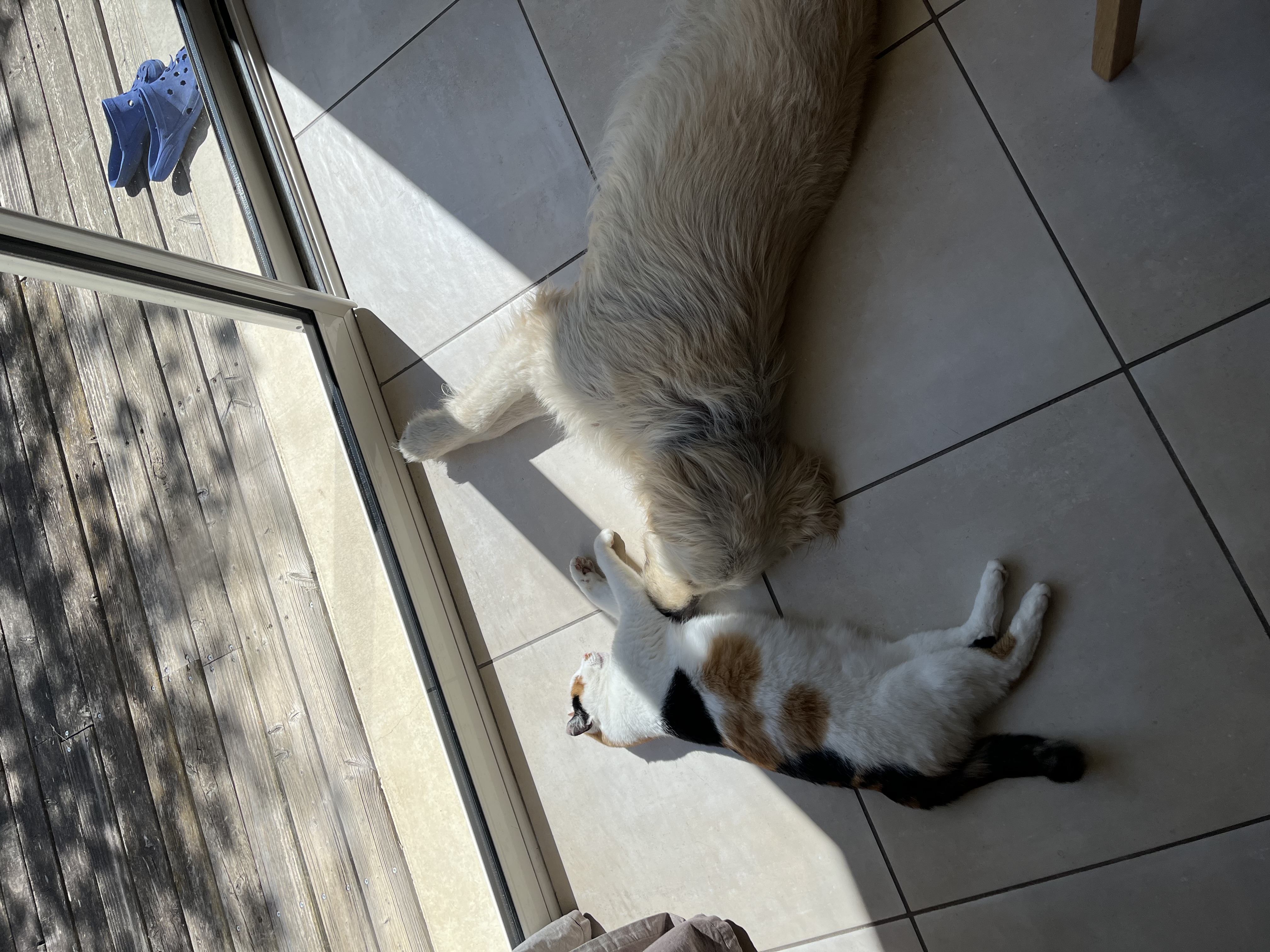 image-6