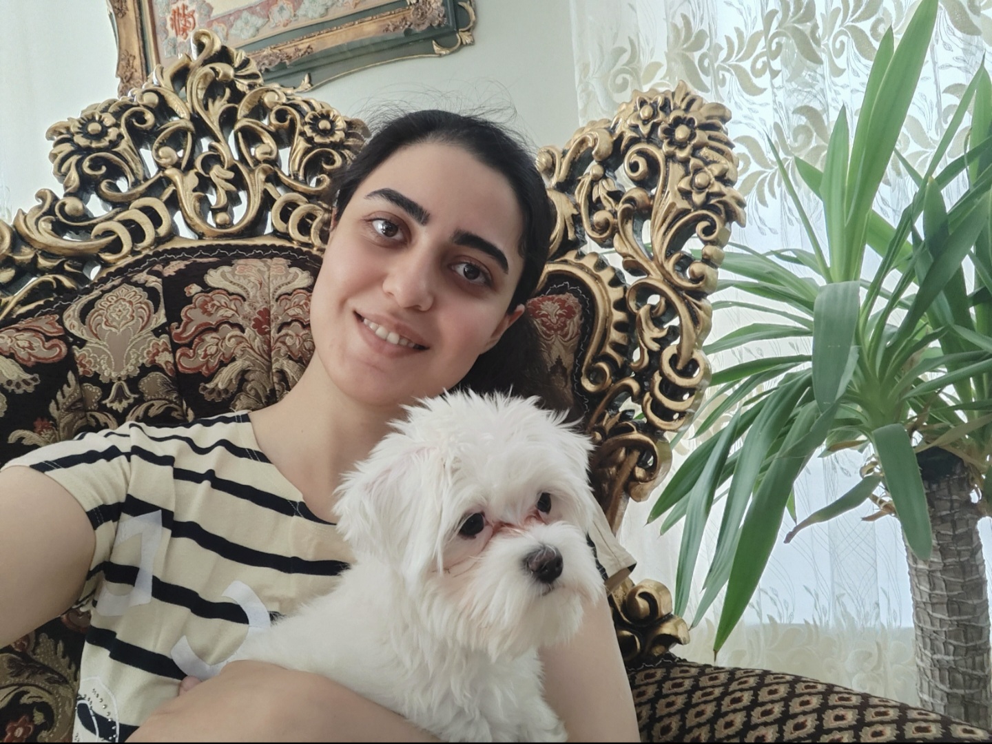 image-3