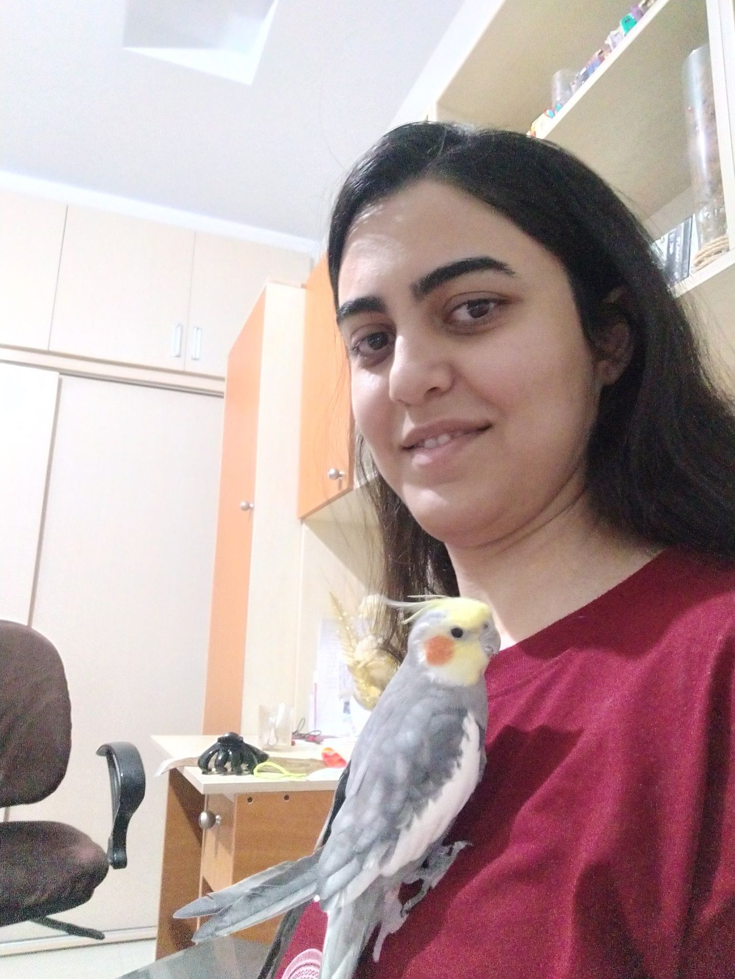 image-6