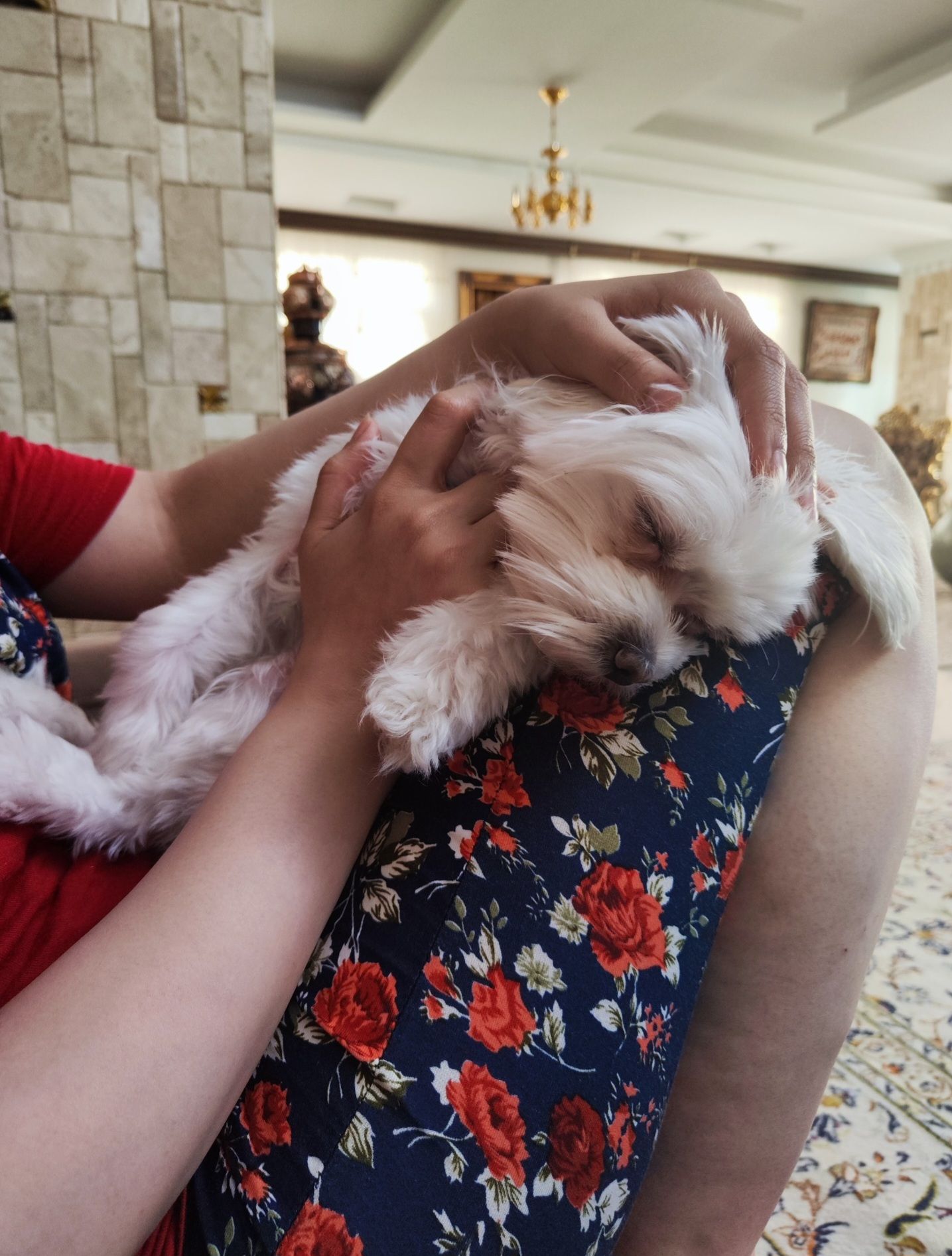 image-7