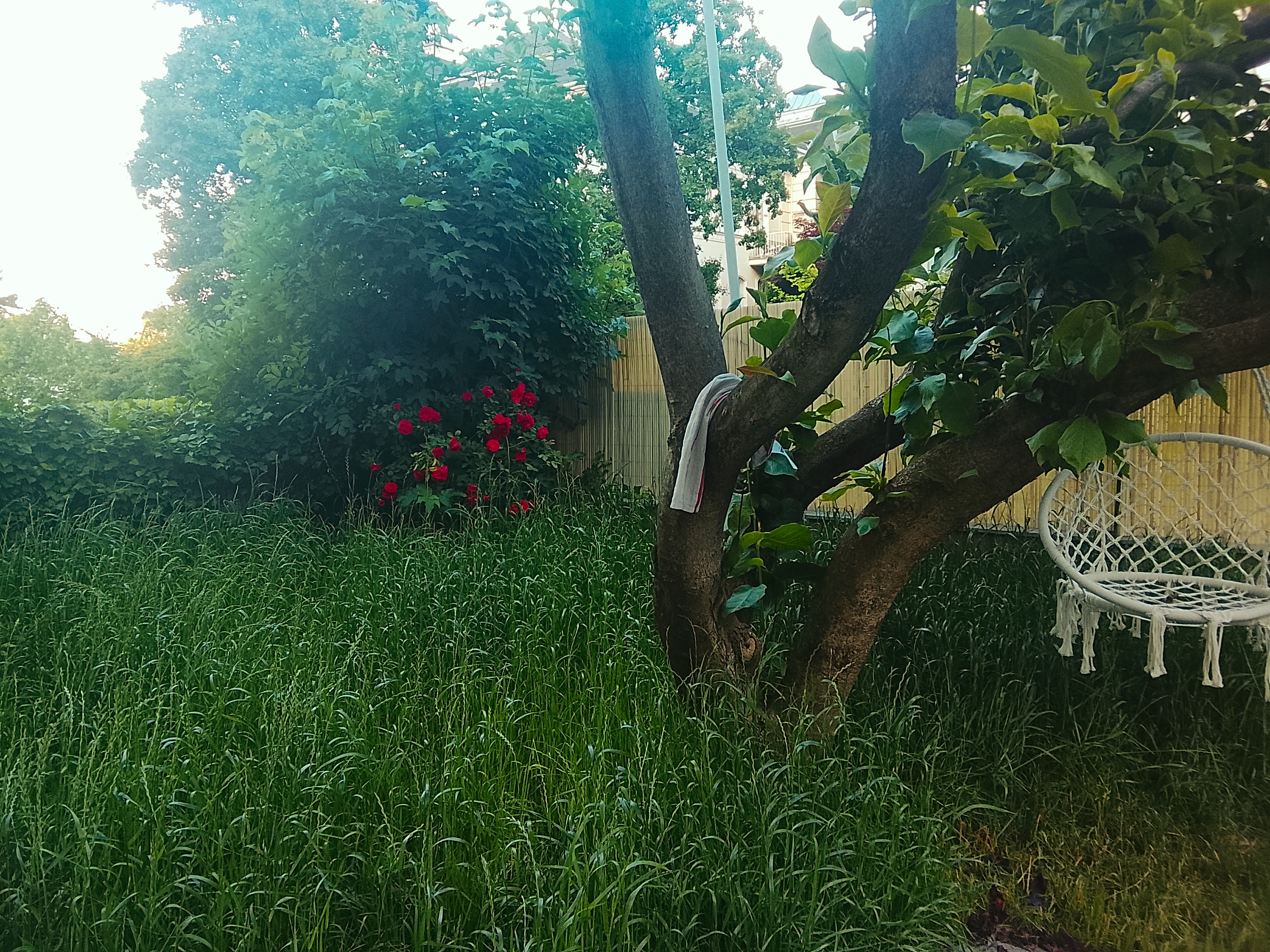 image-16