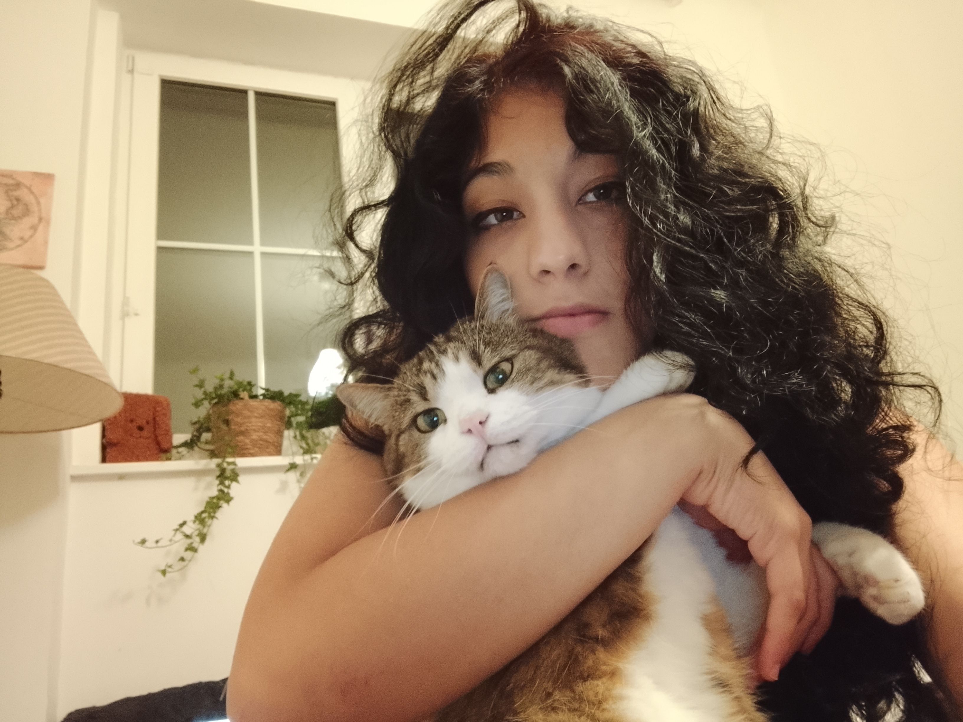image-2