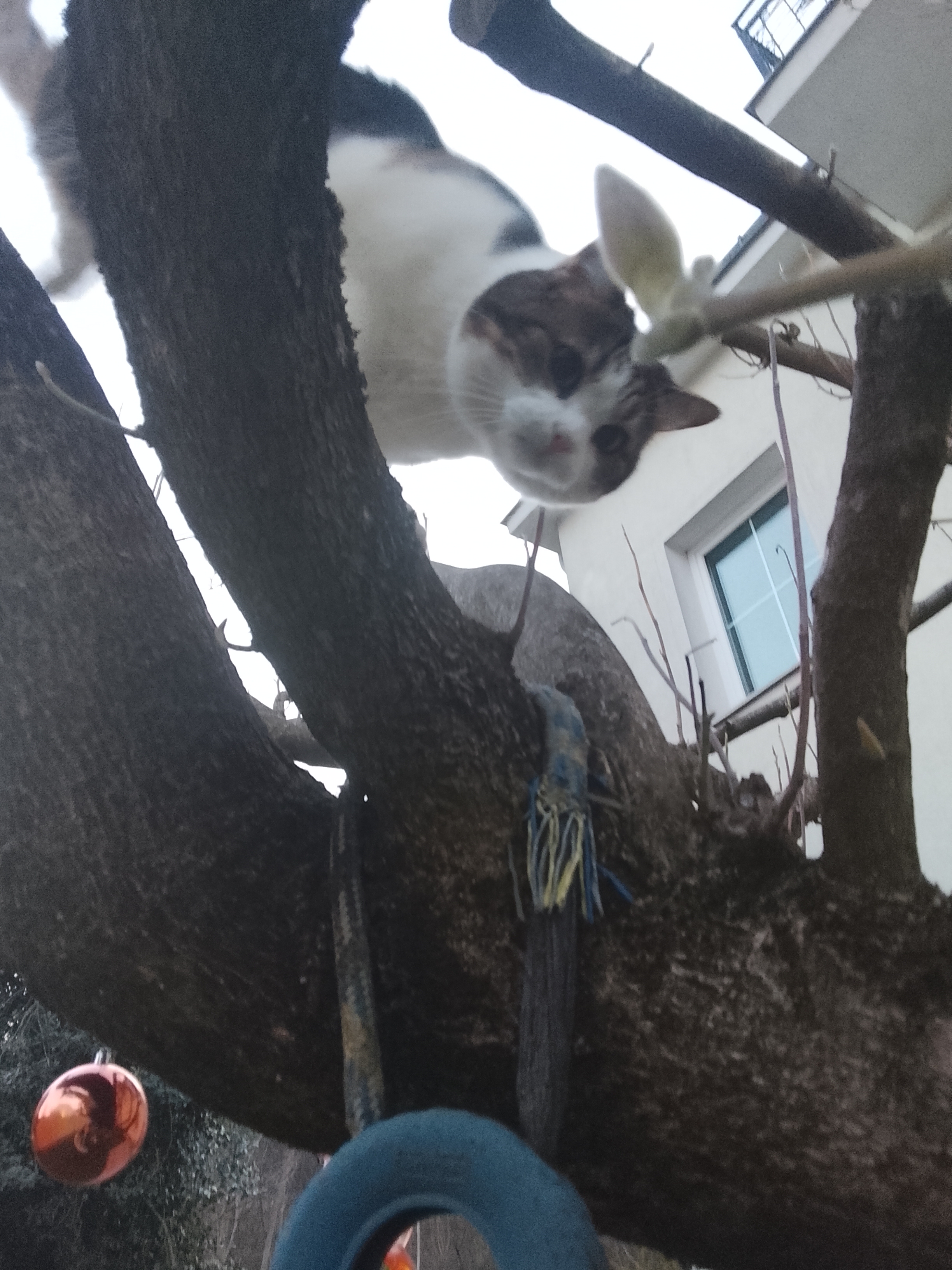 image-7