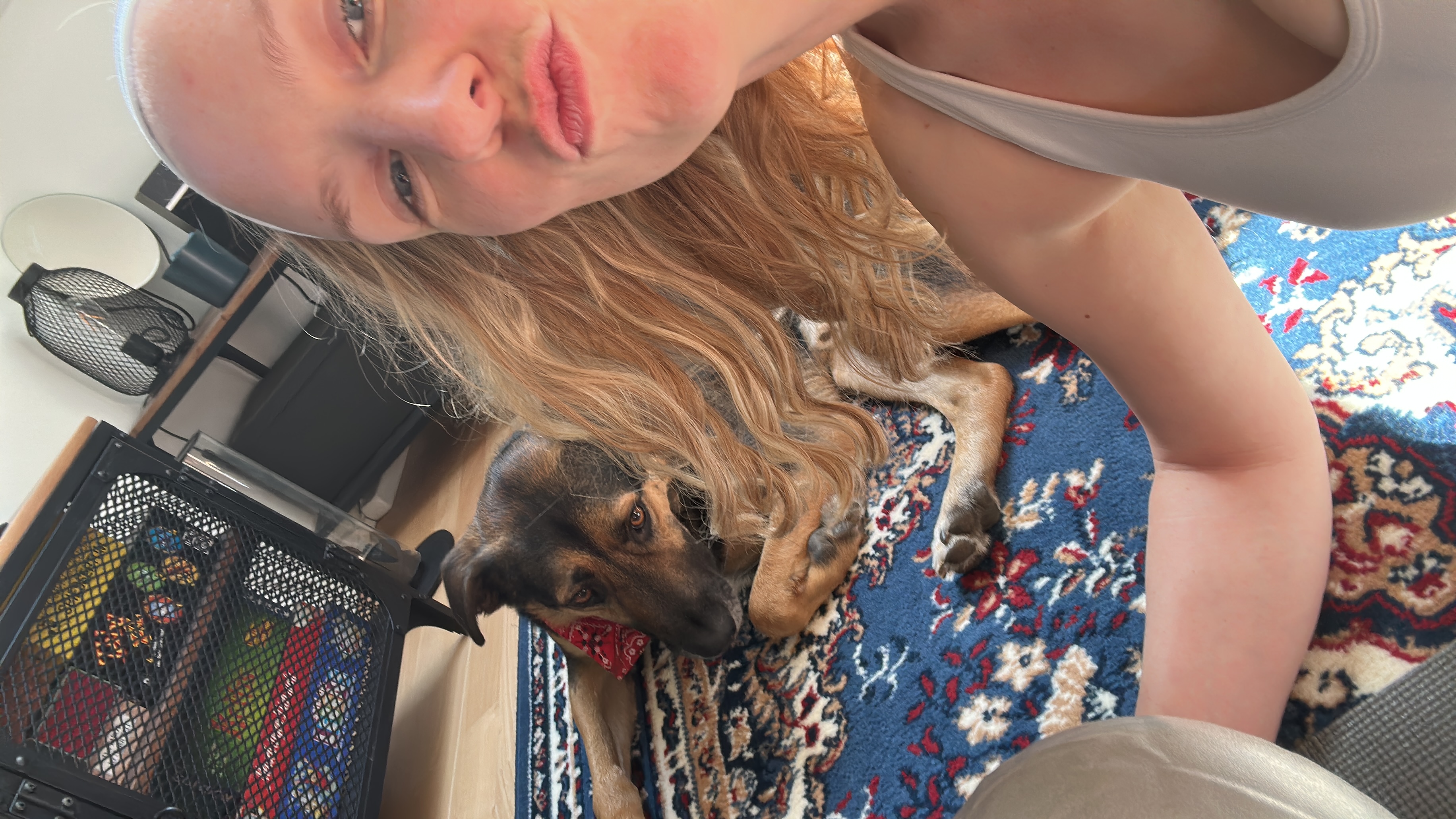 image-7