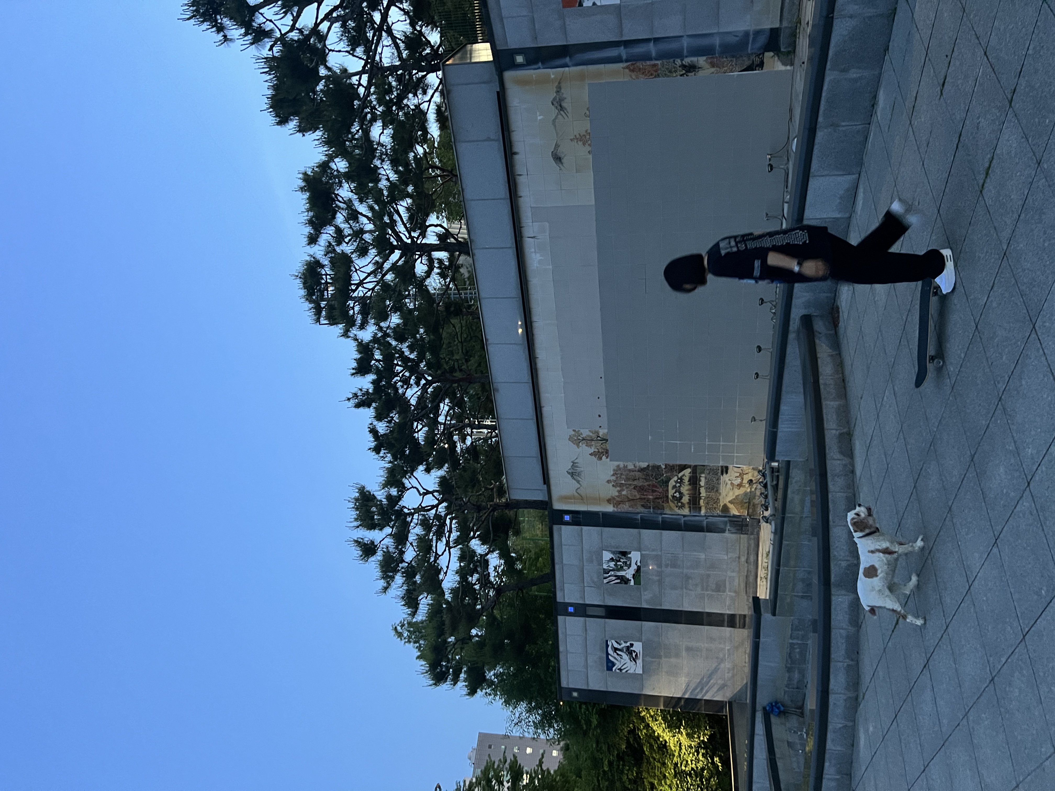 image-9