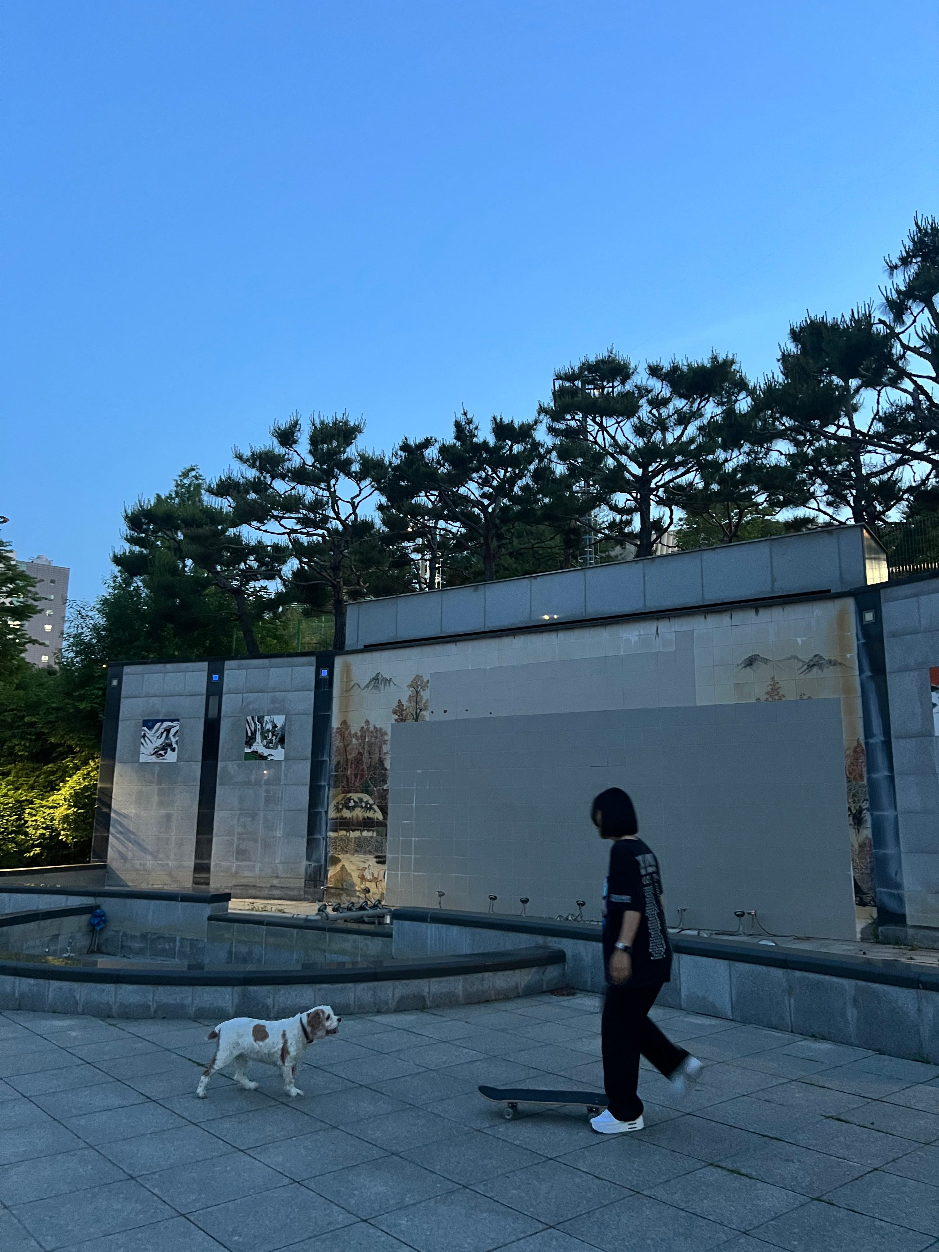 image-9