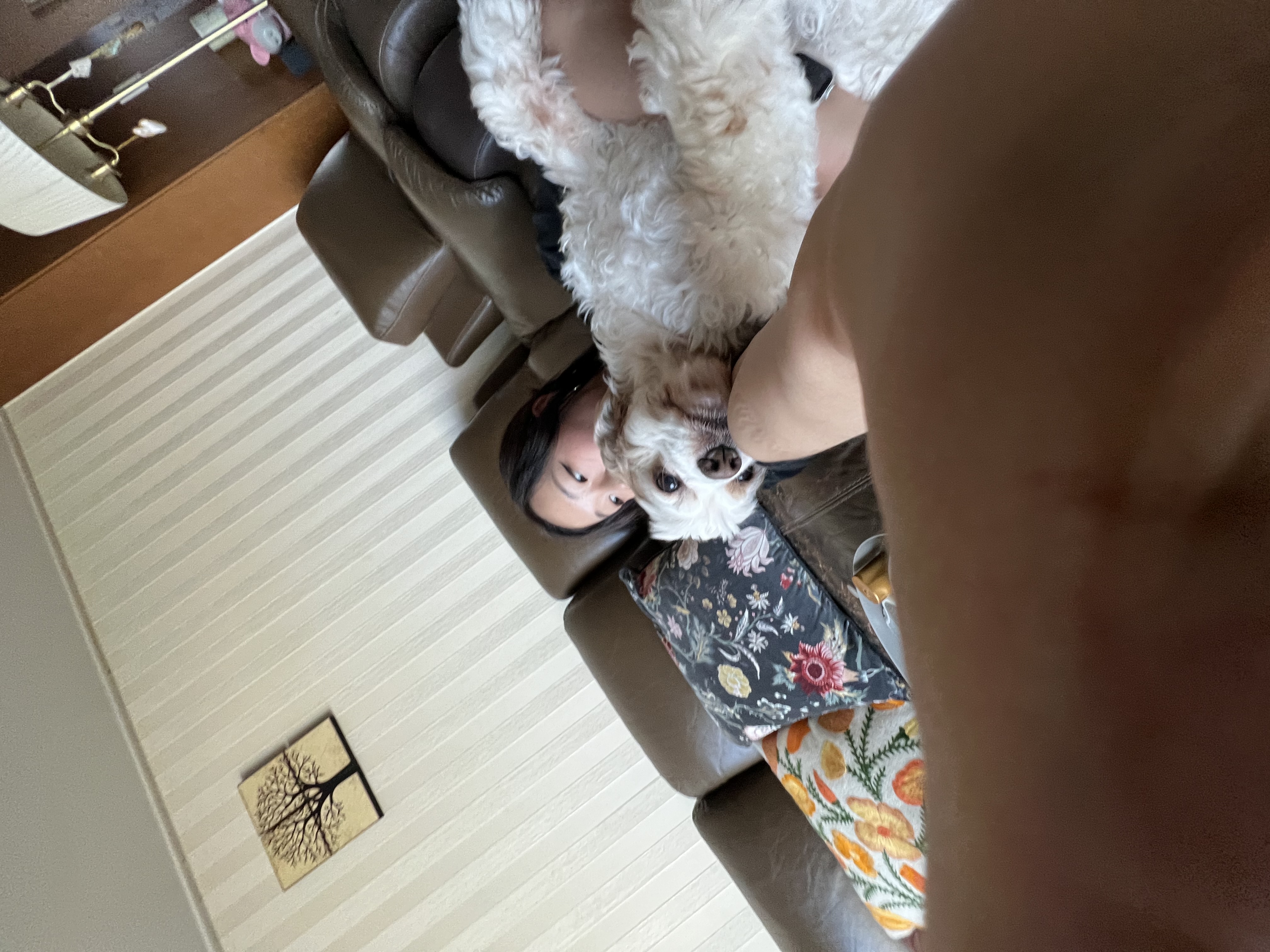 image-8