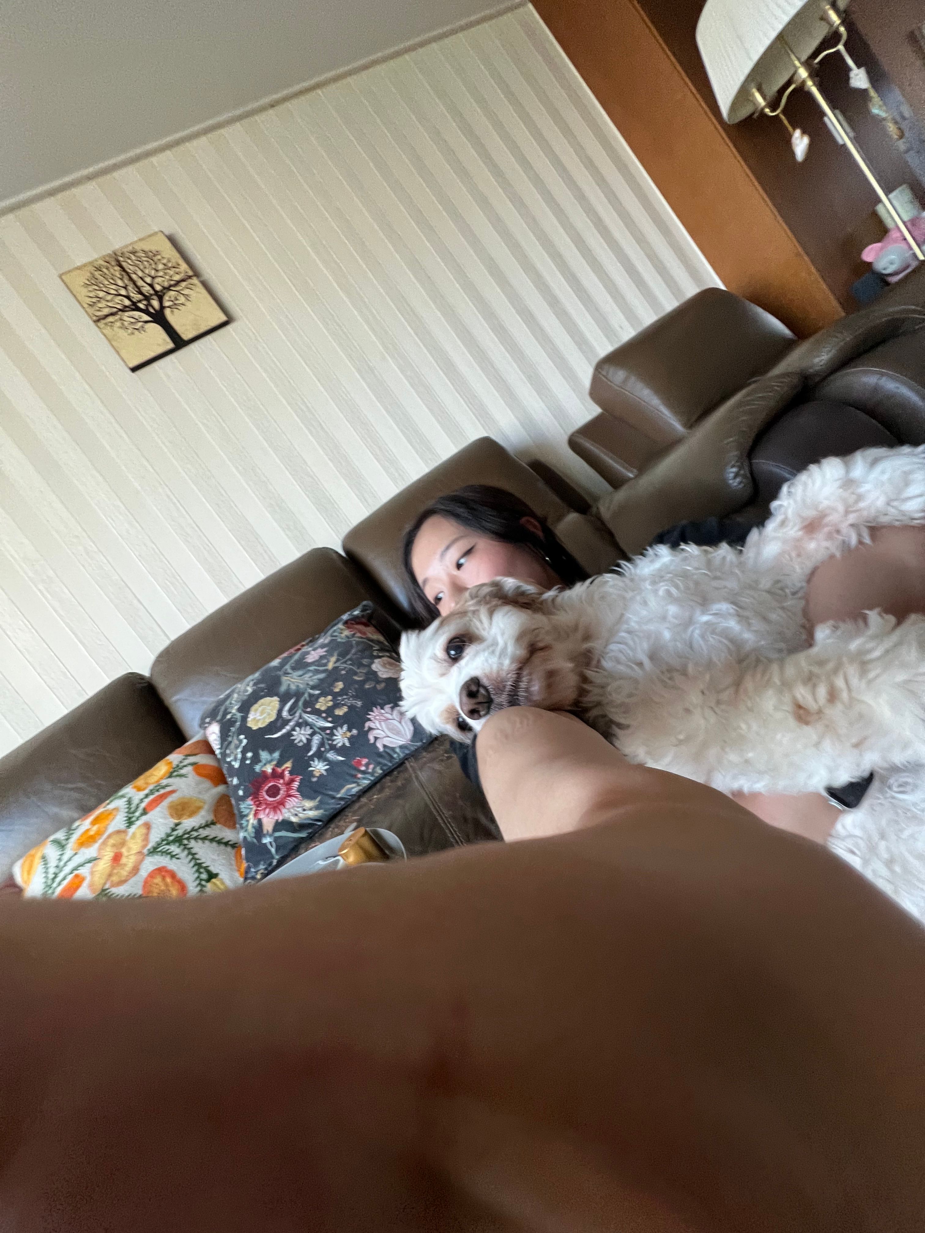 image-8