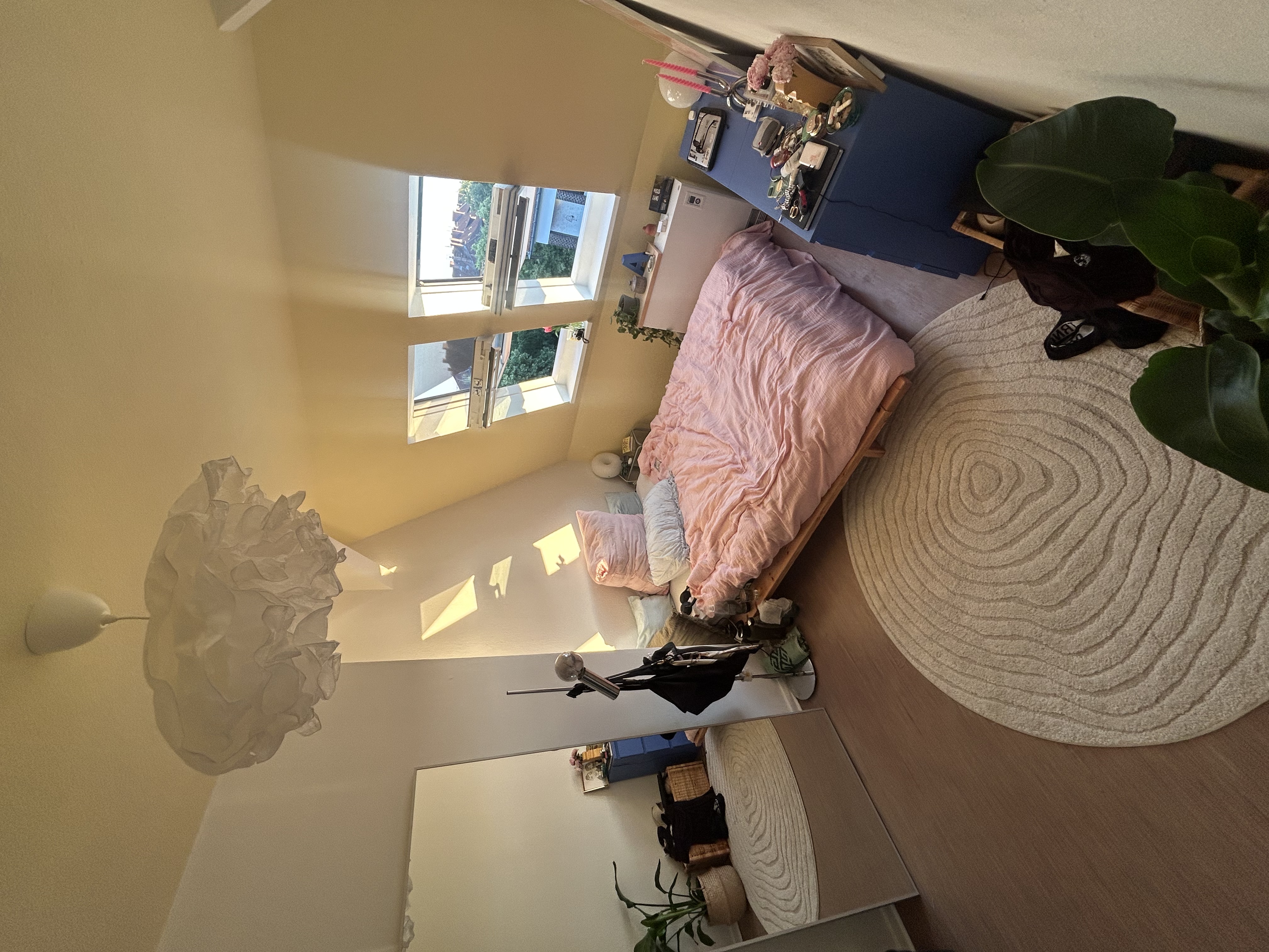 image-9