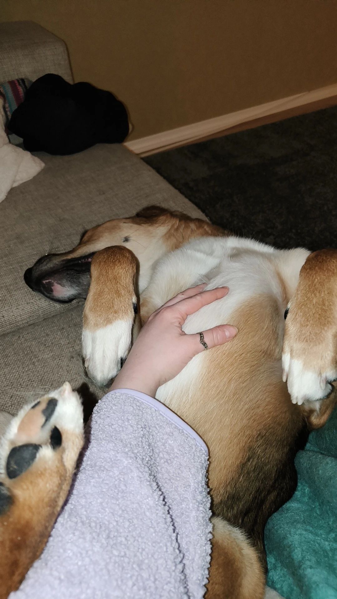 image-9