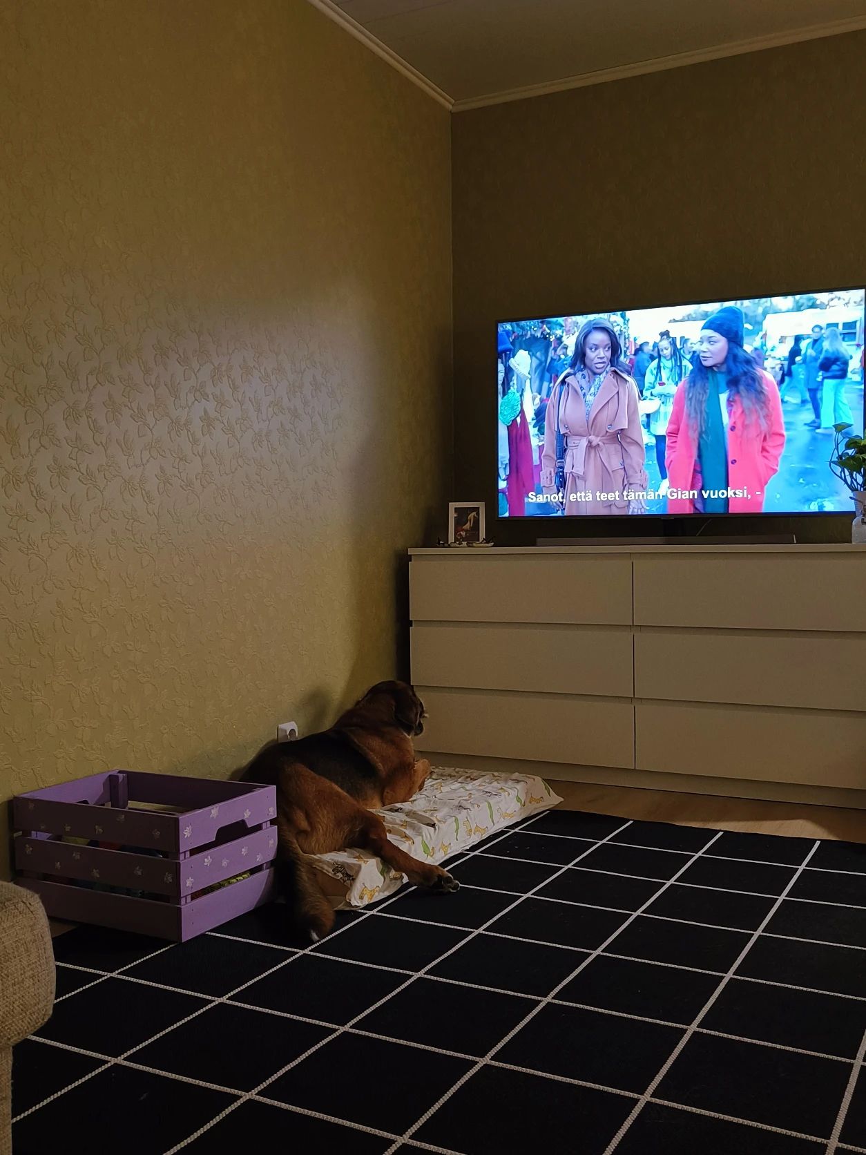 image-15