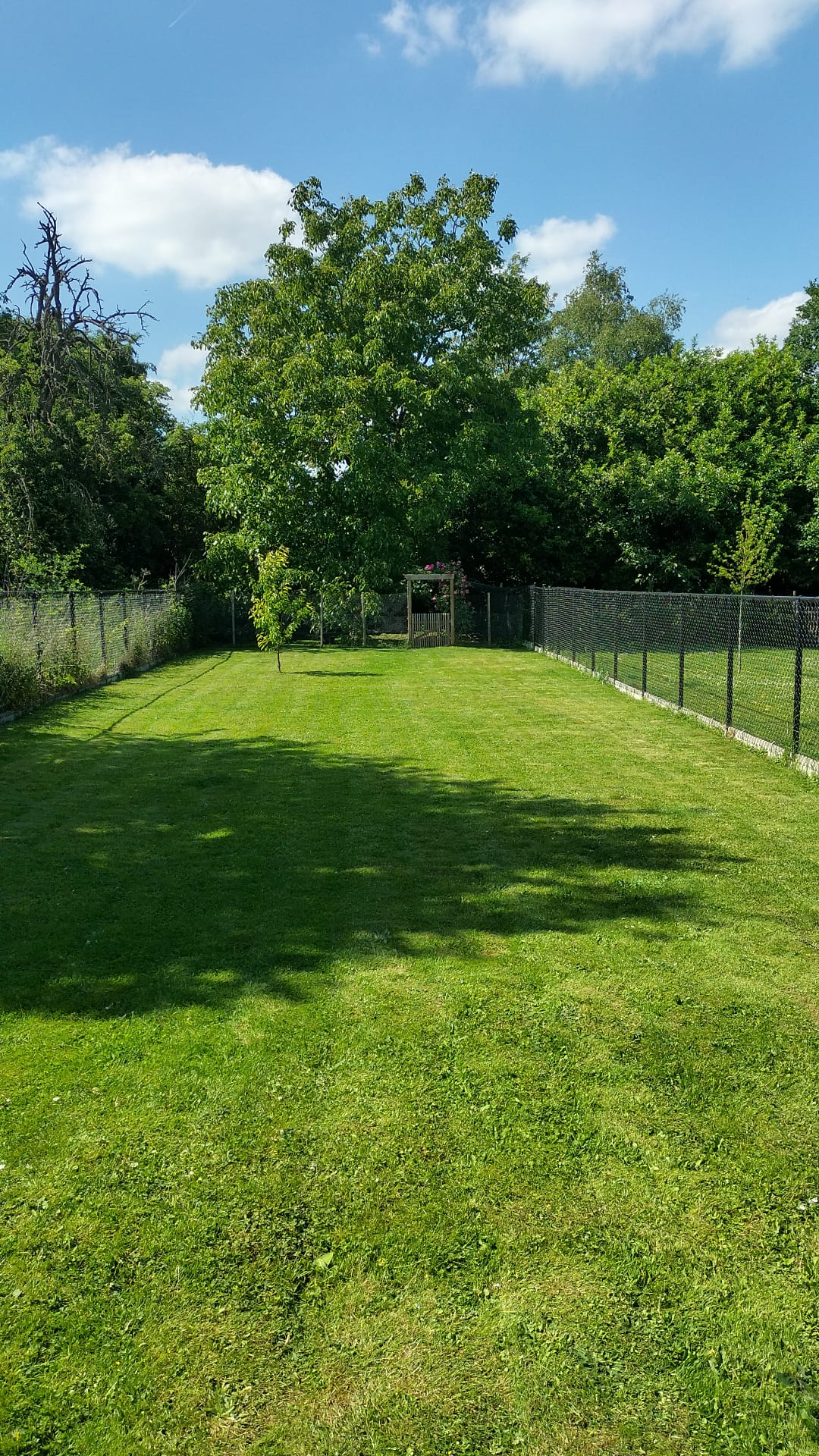 image-20