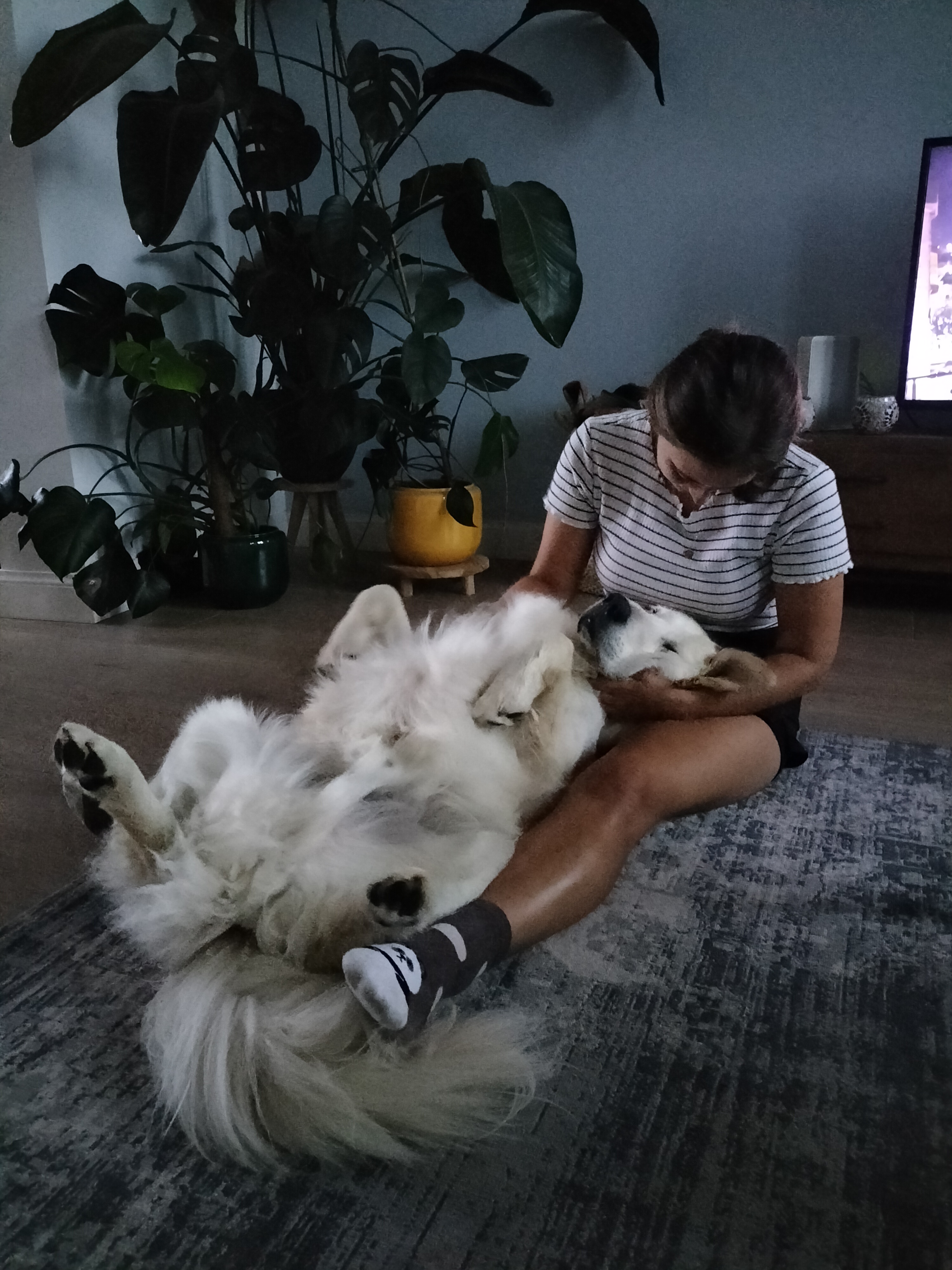 image-11