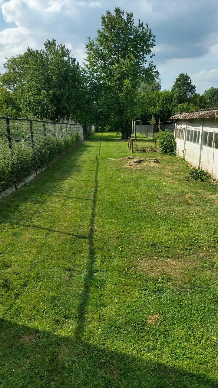 image-19