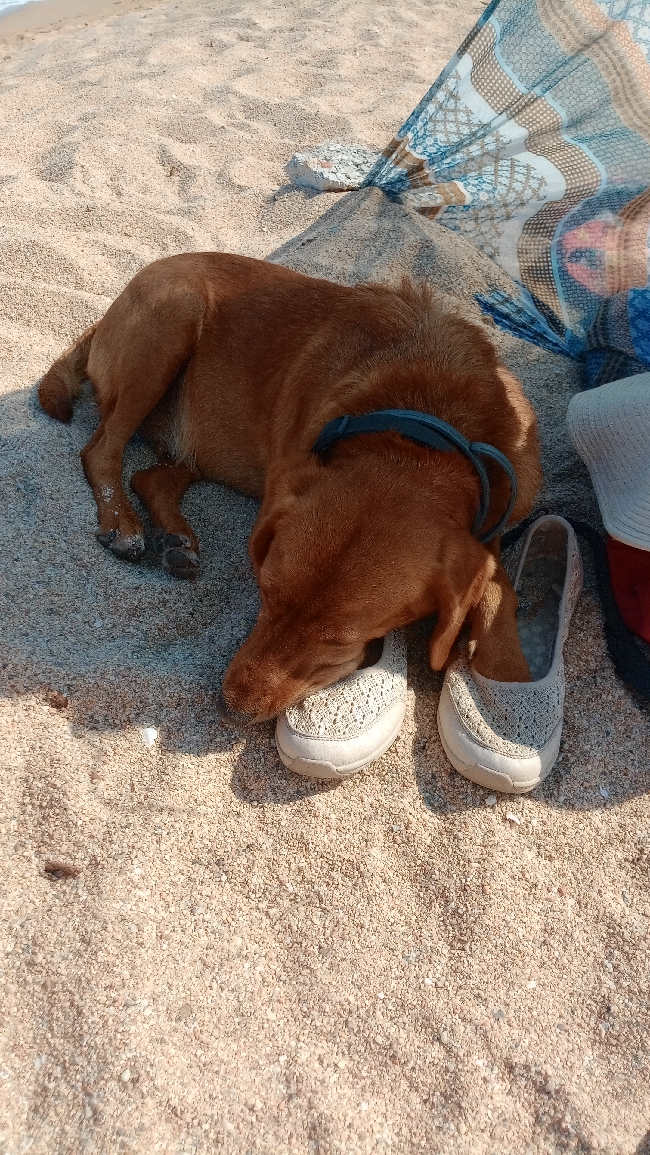 image-5