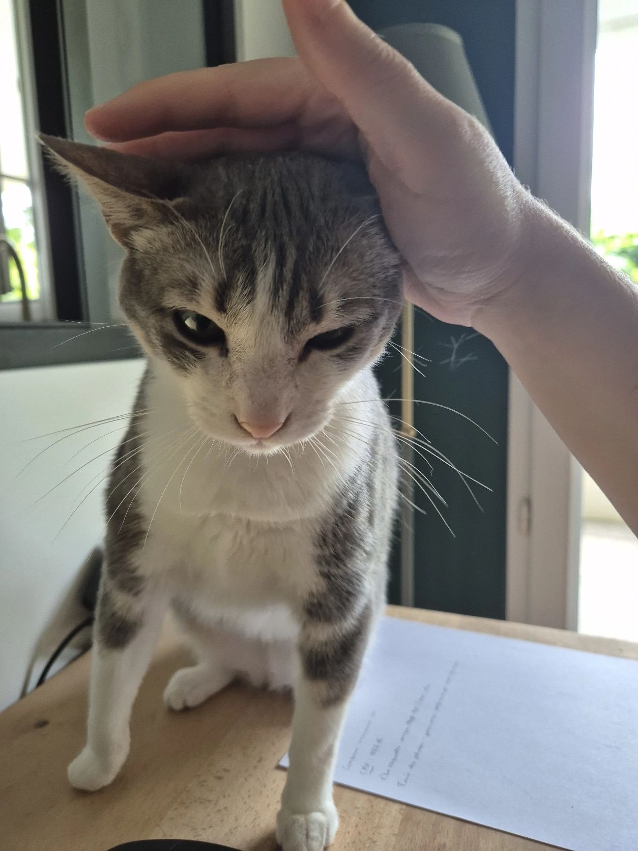 image-6
