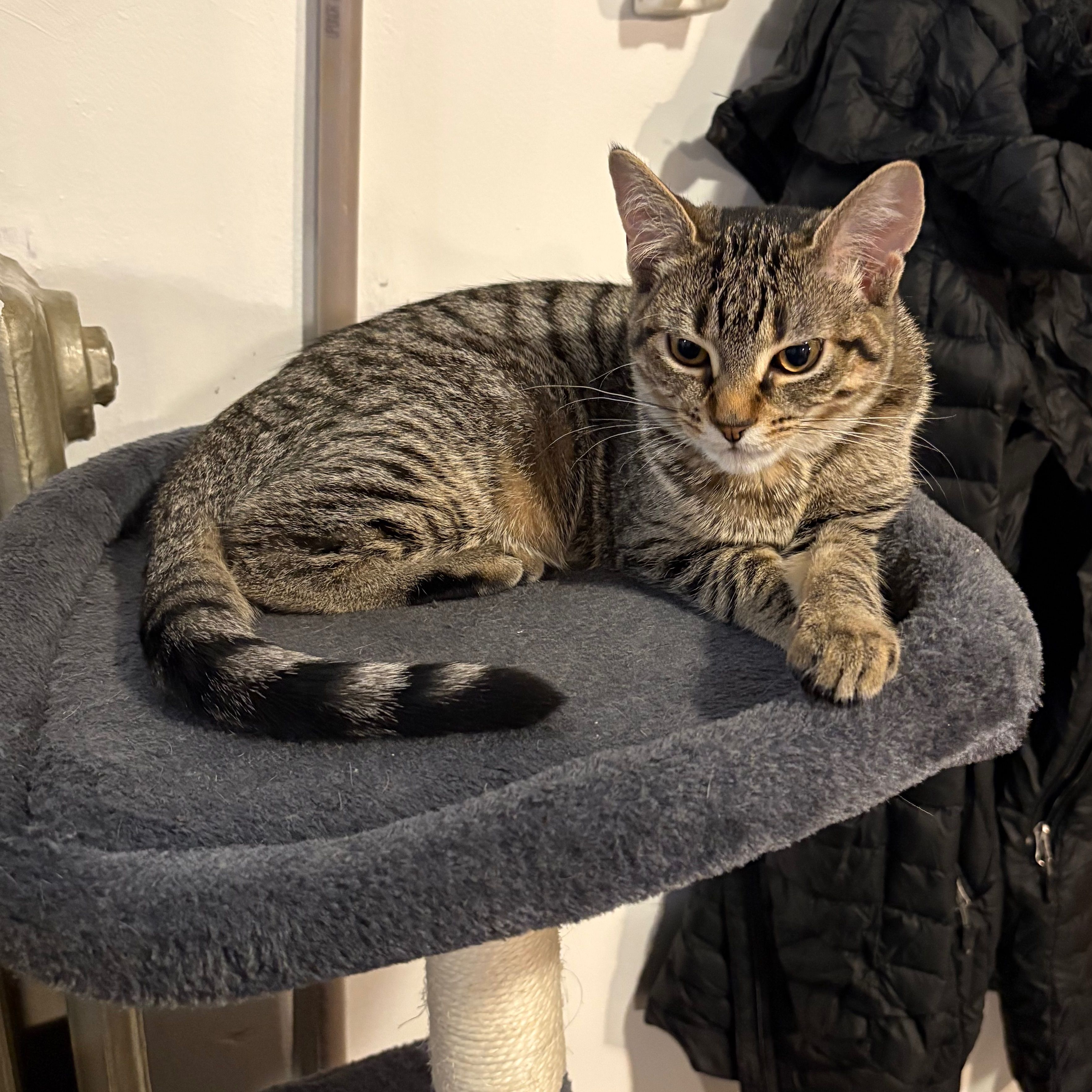 Luna