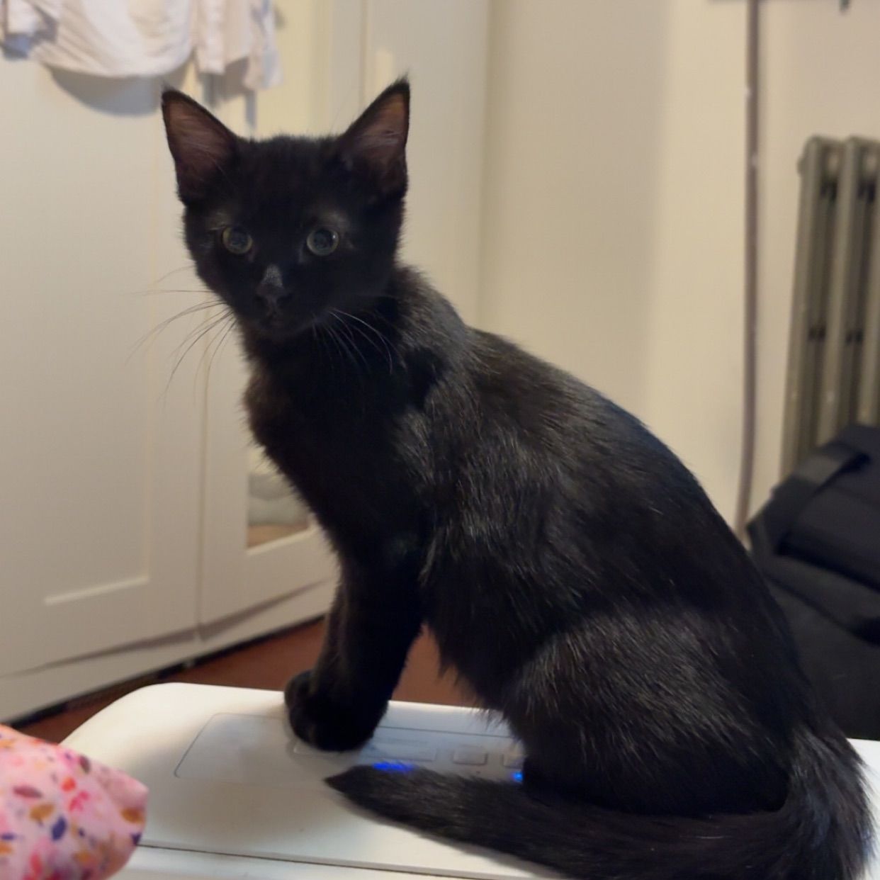 Binx