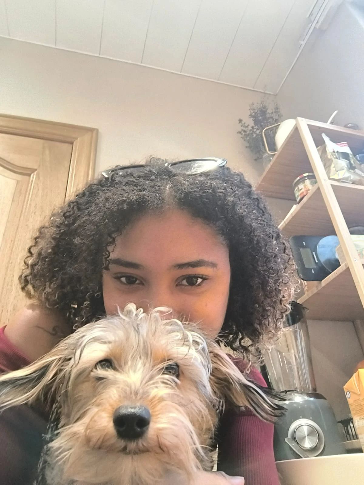 image-2