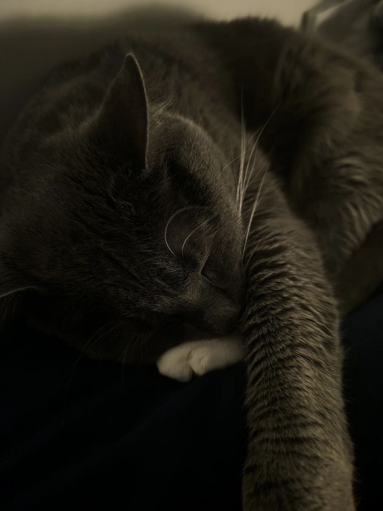 image-7