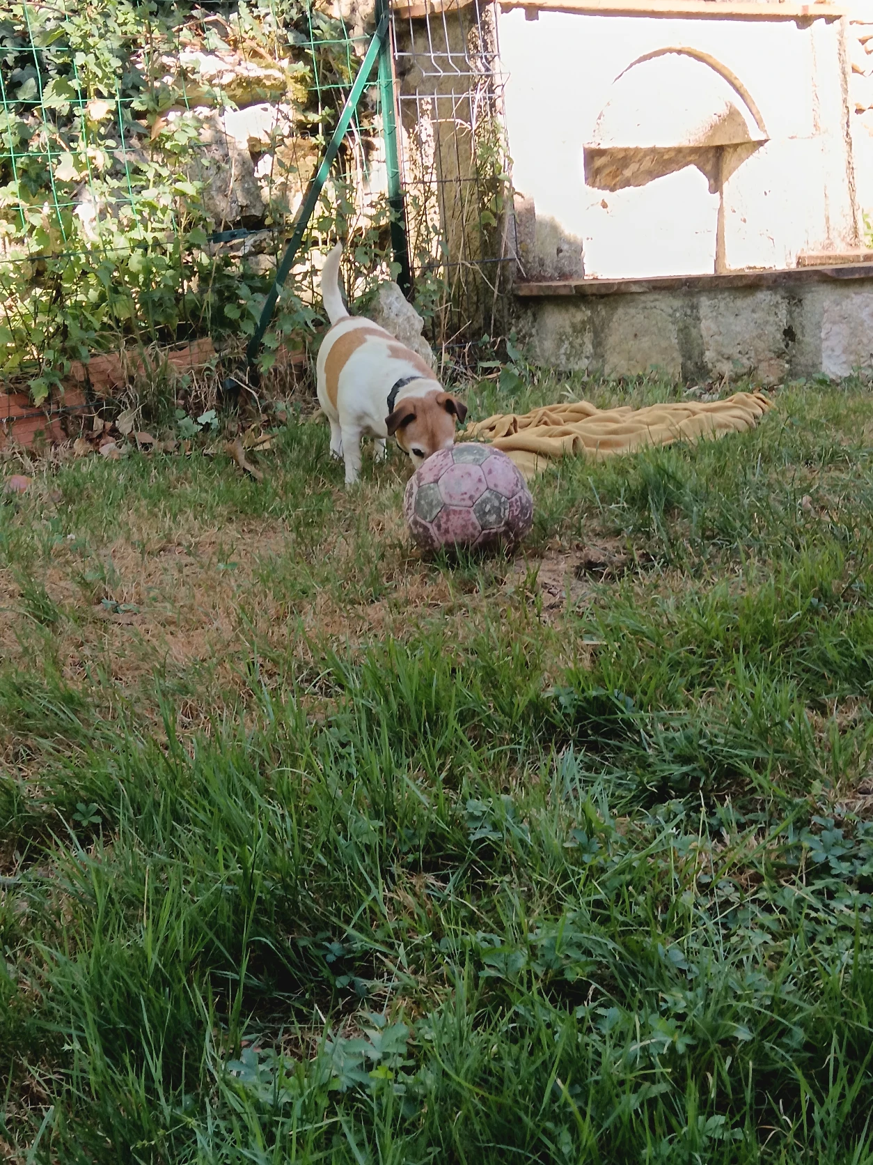 image-9