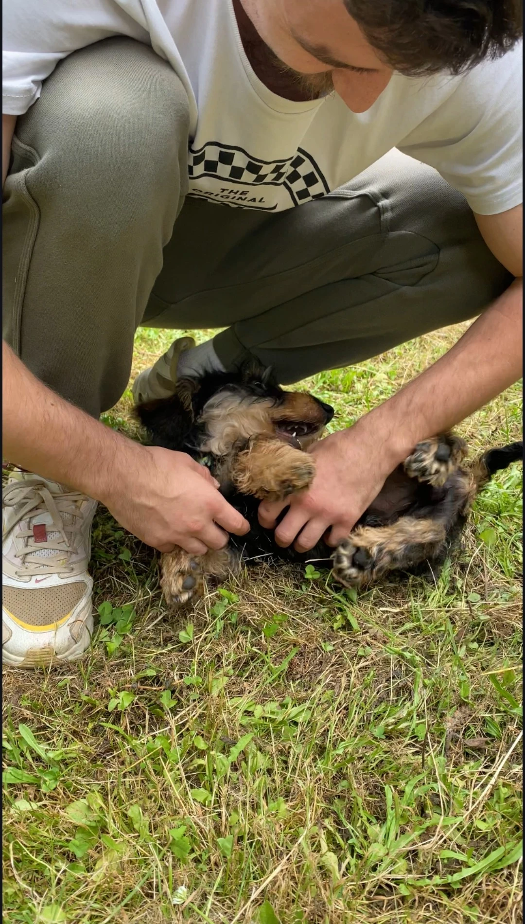 image-6