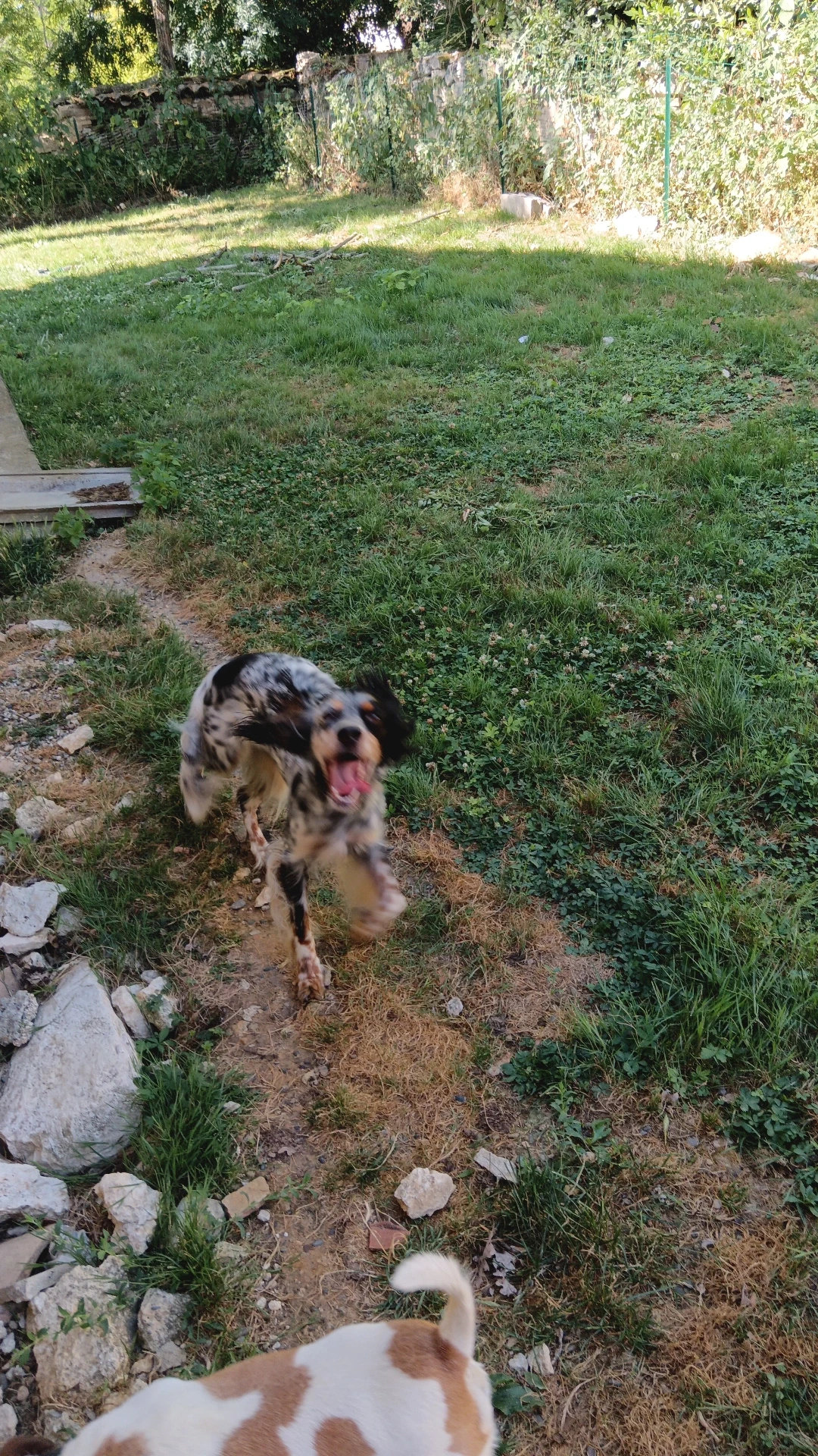 image-7