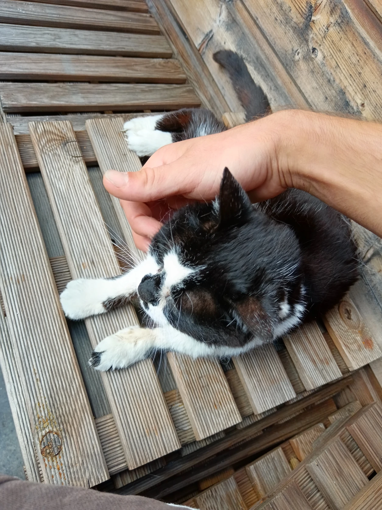 image-15
