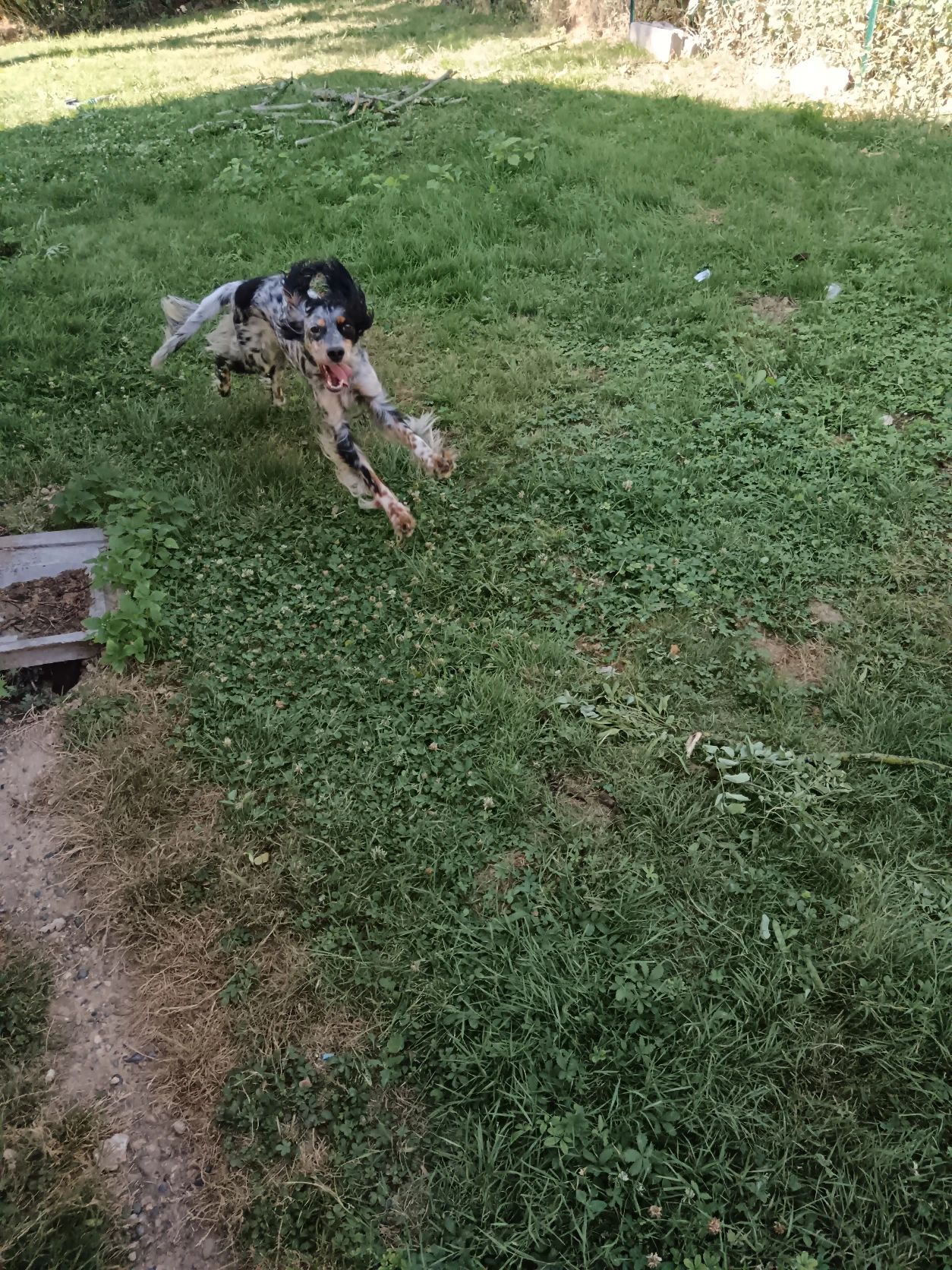 image-5