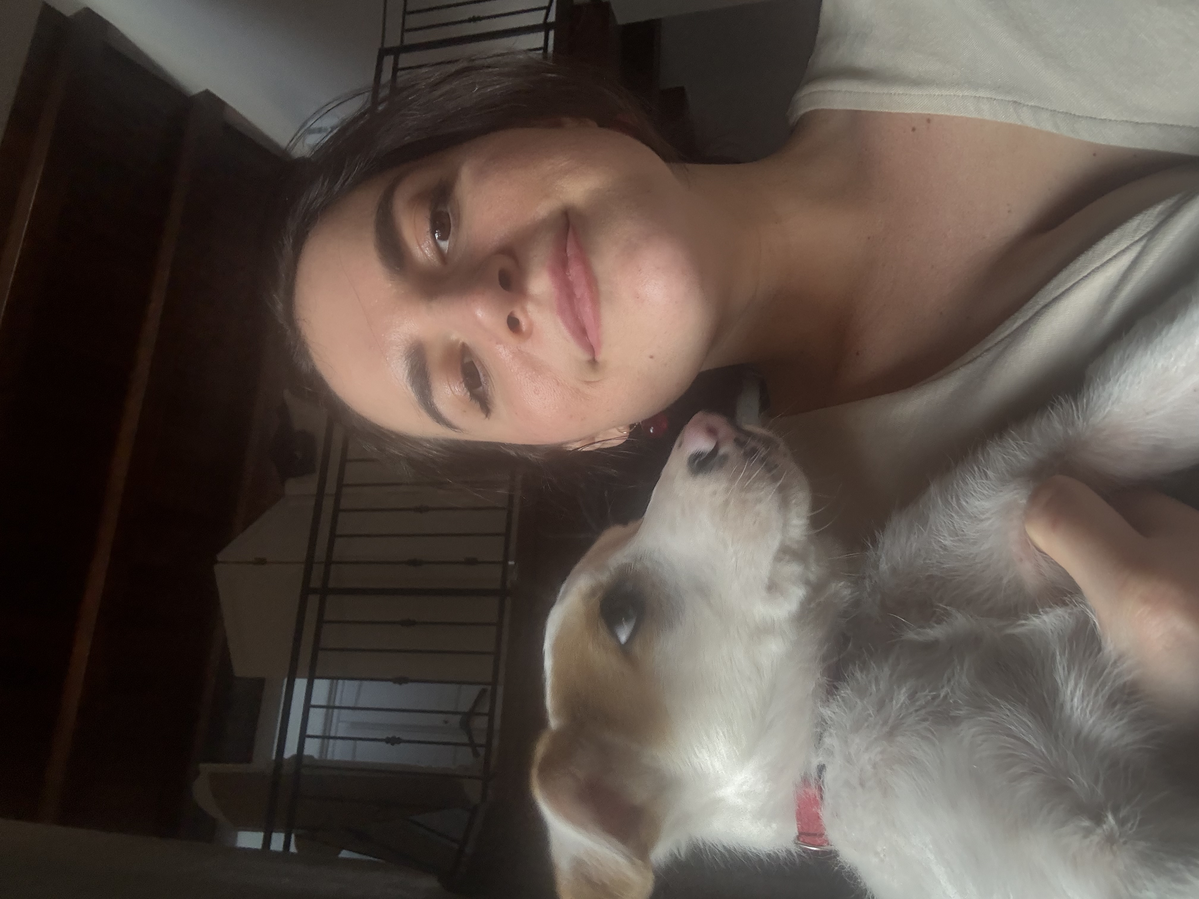 image-8