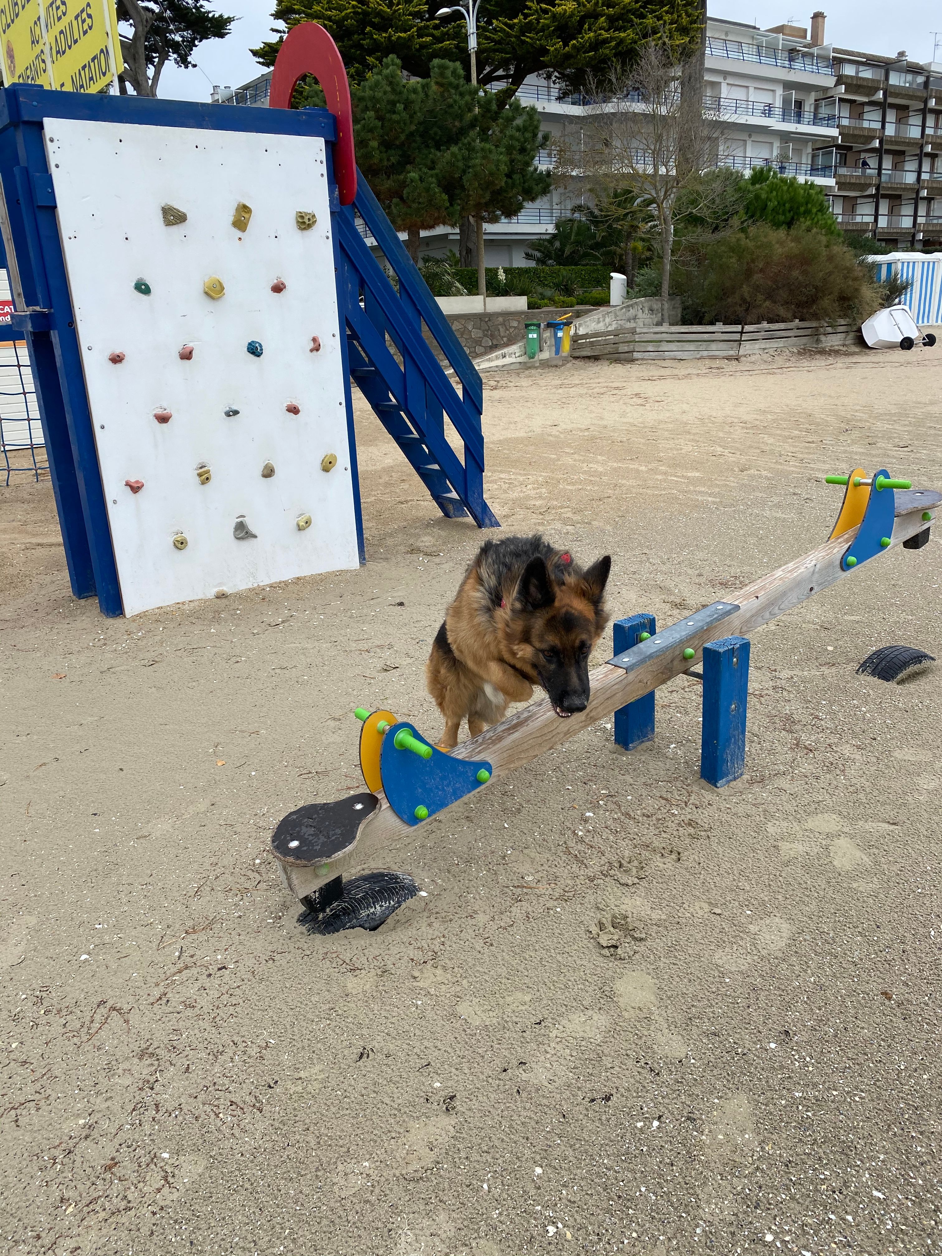 image-17
