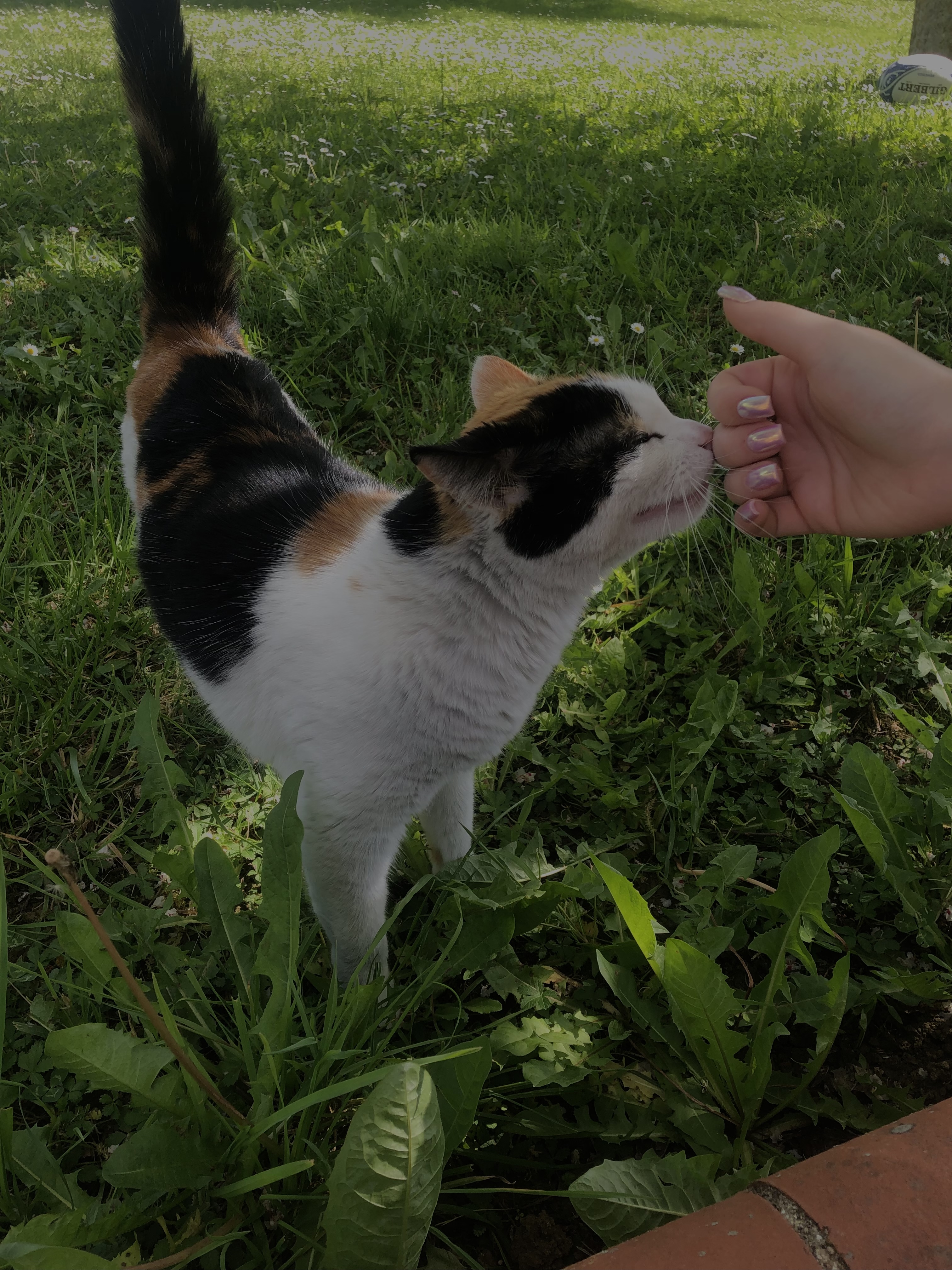 image-11