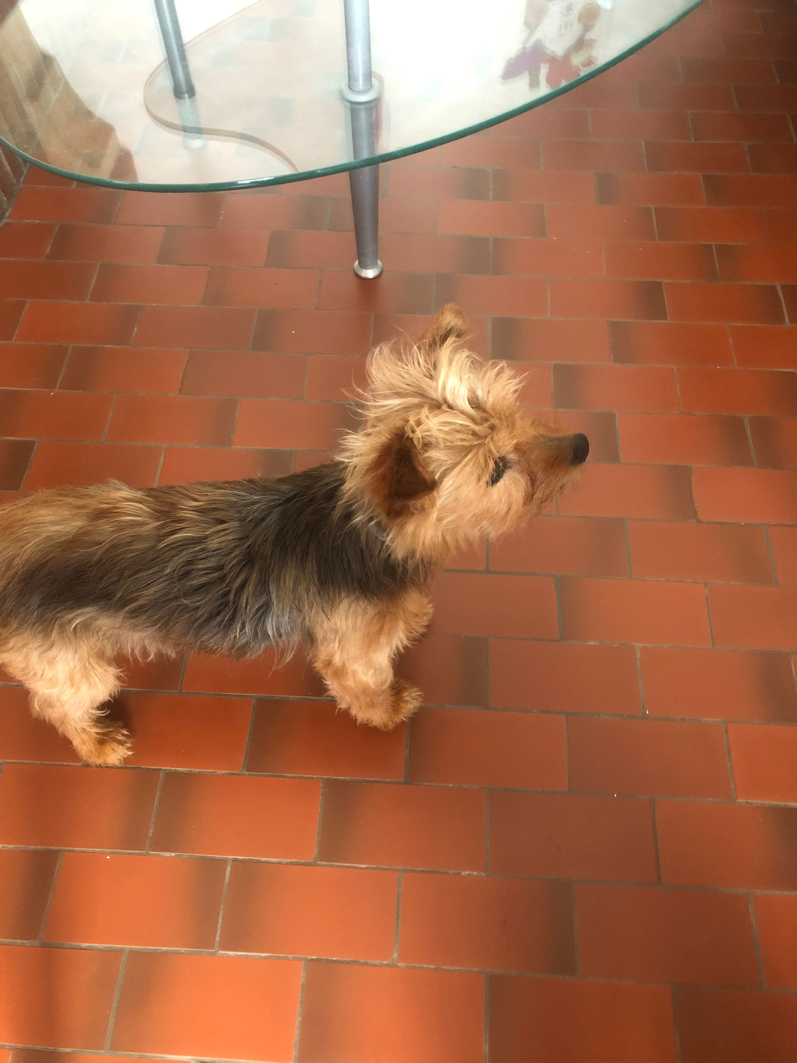 image-7