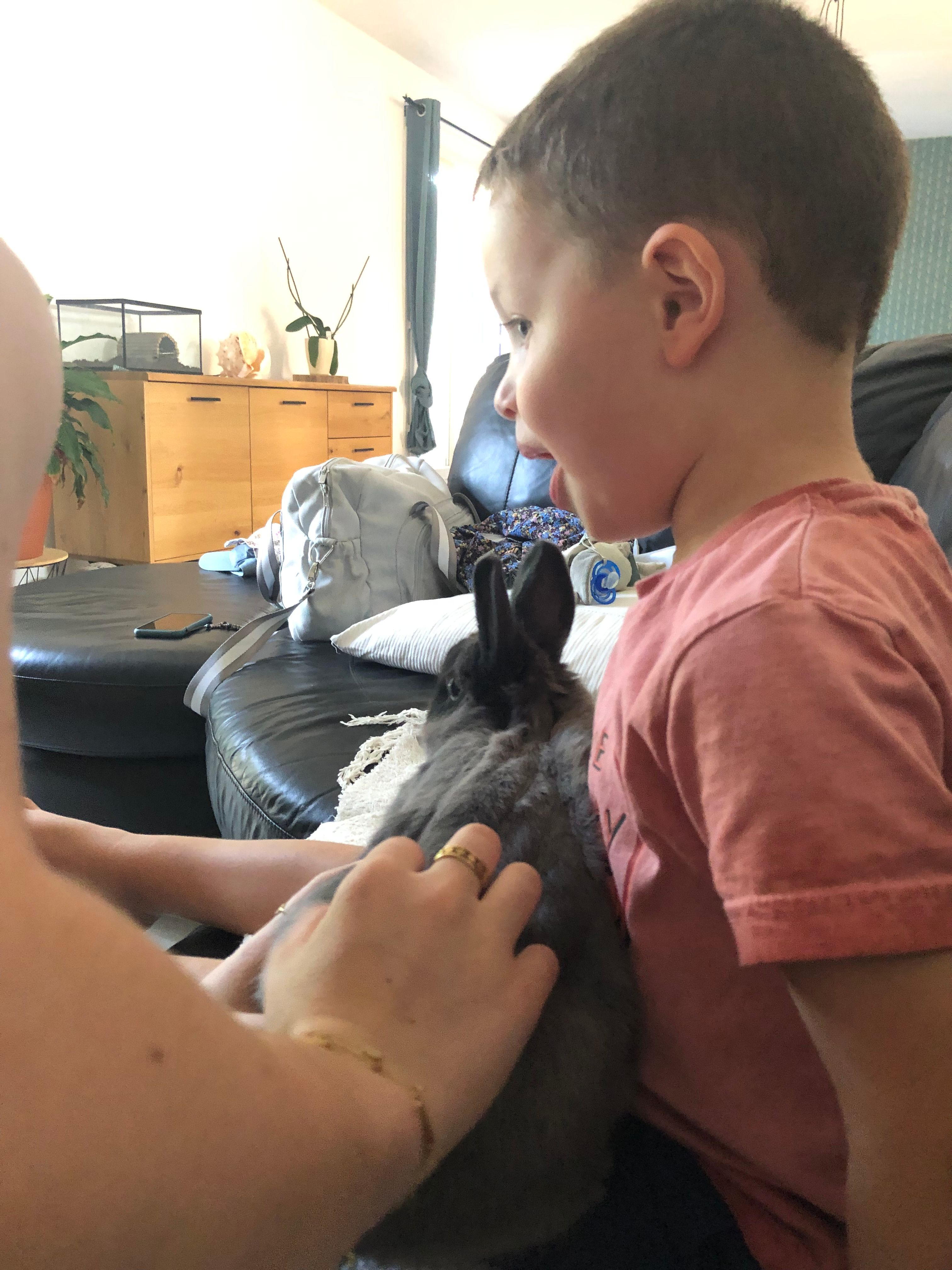 image-14