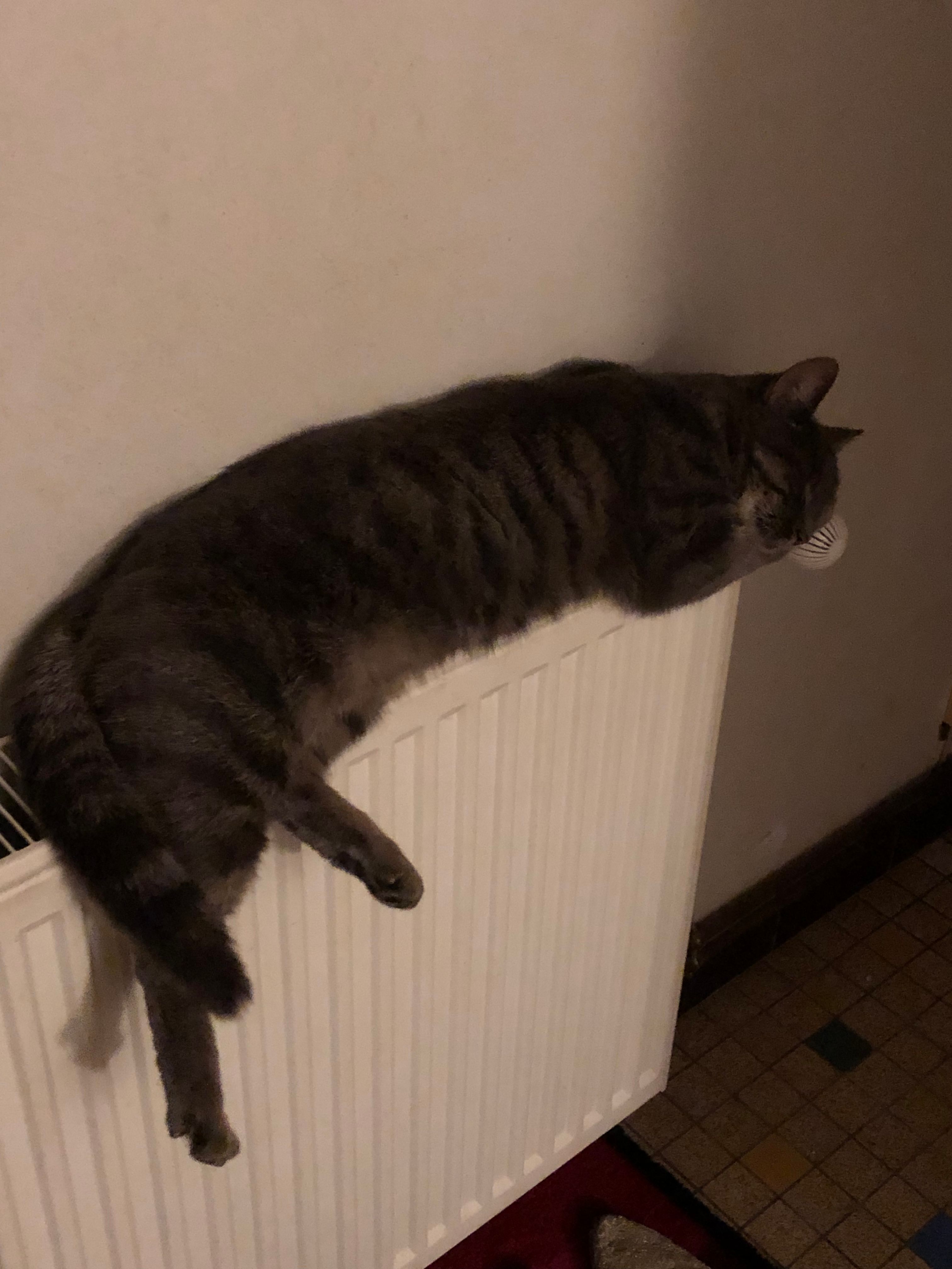 image-12