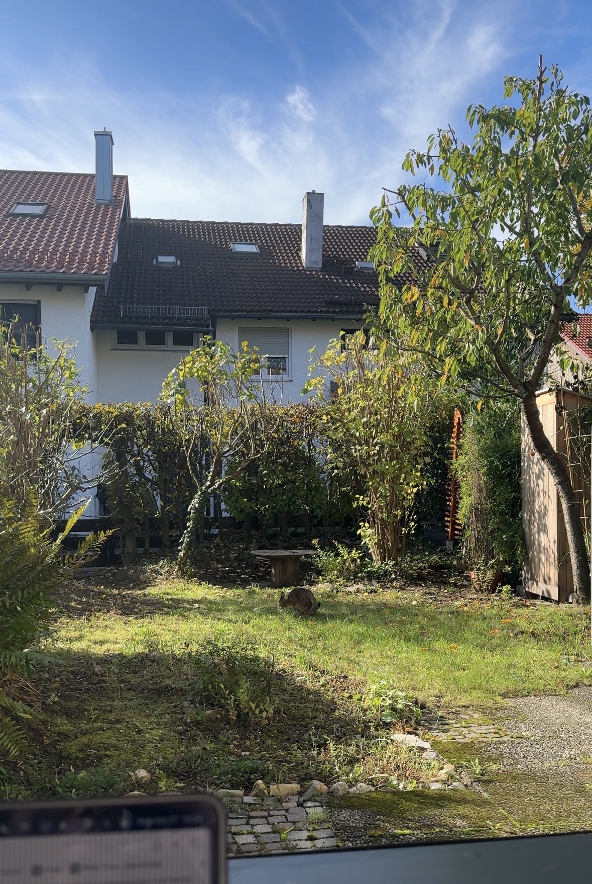 image-14