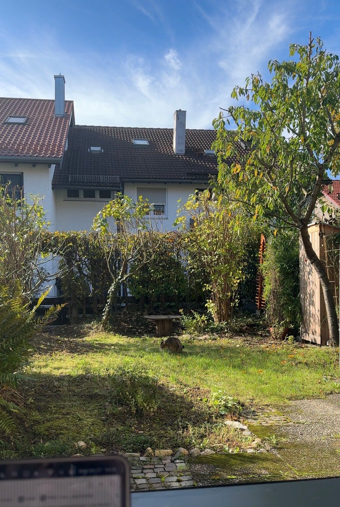 image-14