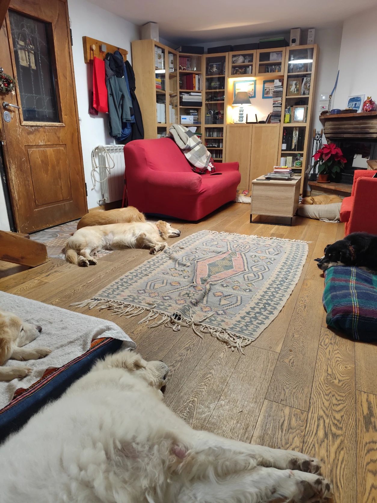 image-28