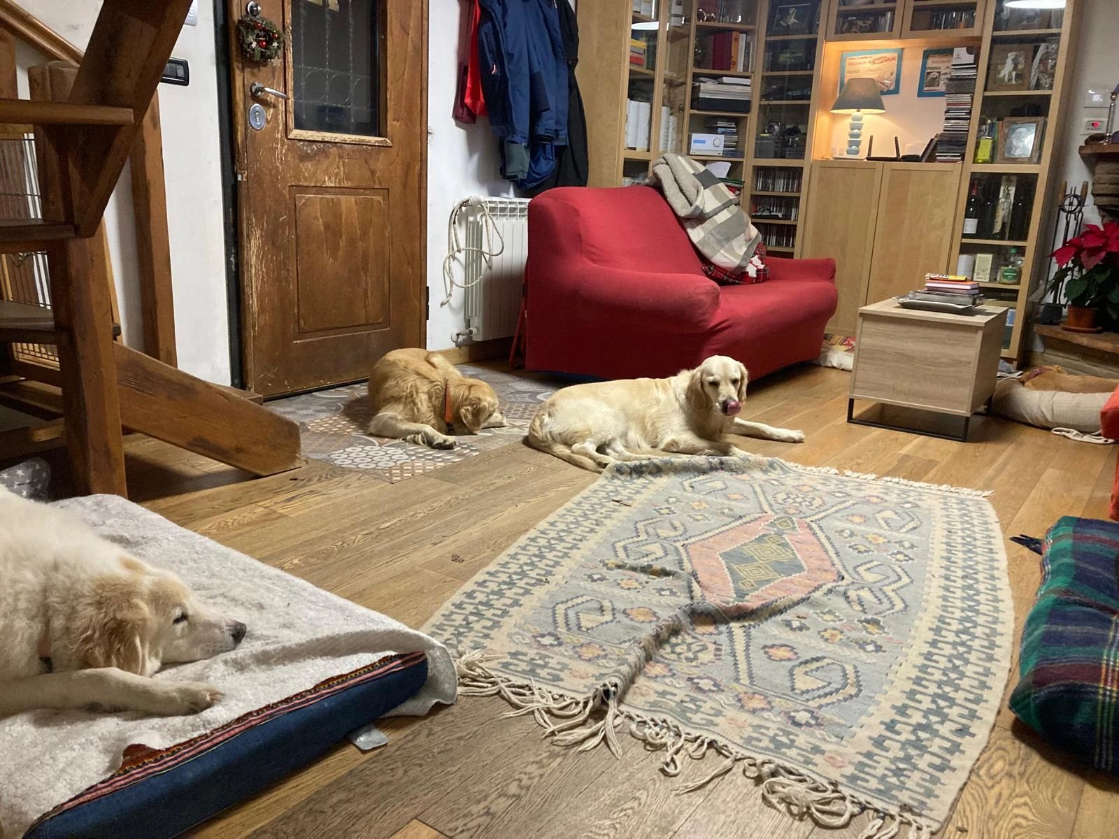image-27