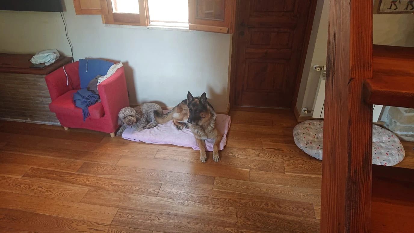 image-41
