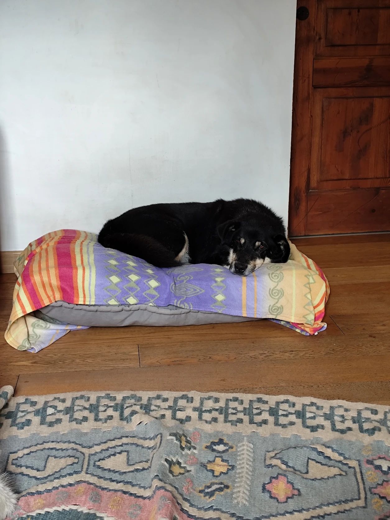 image-32