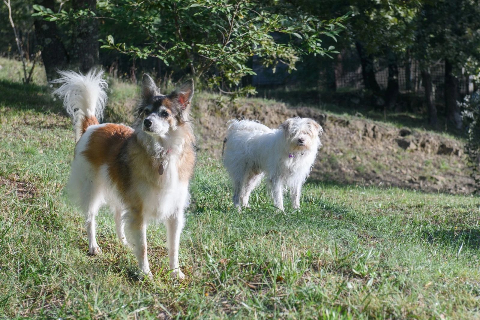 image-34